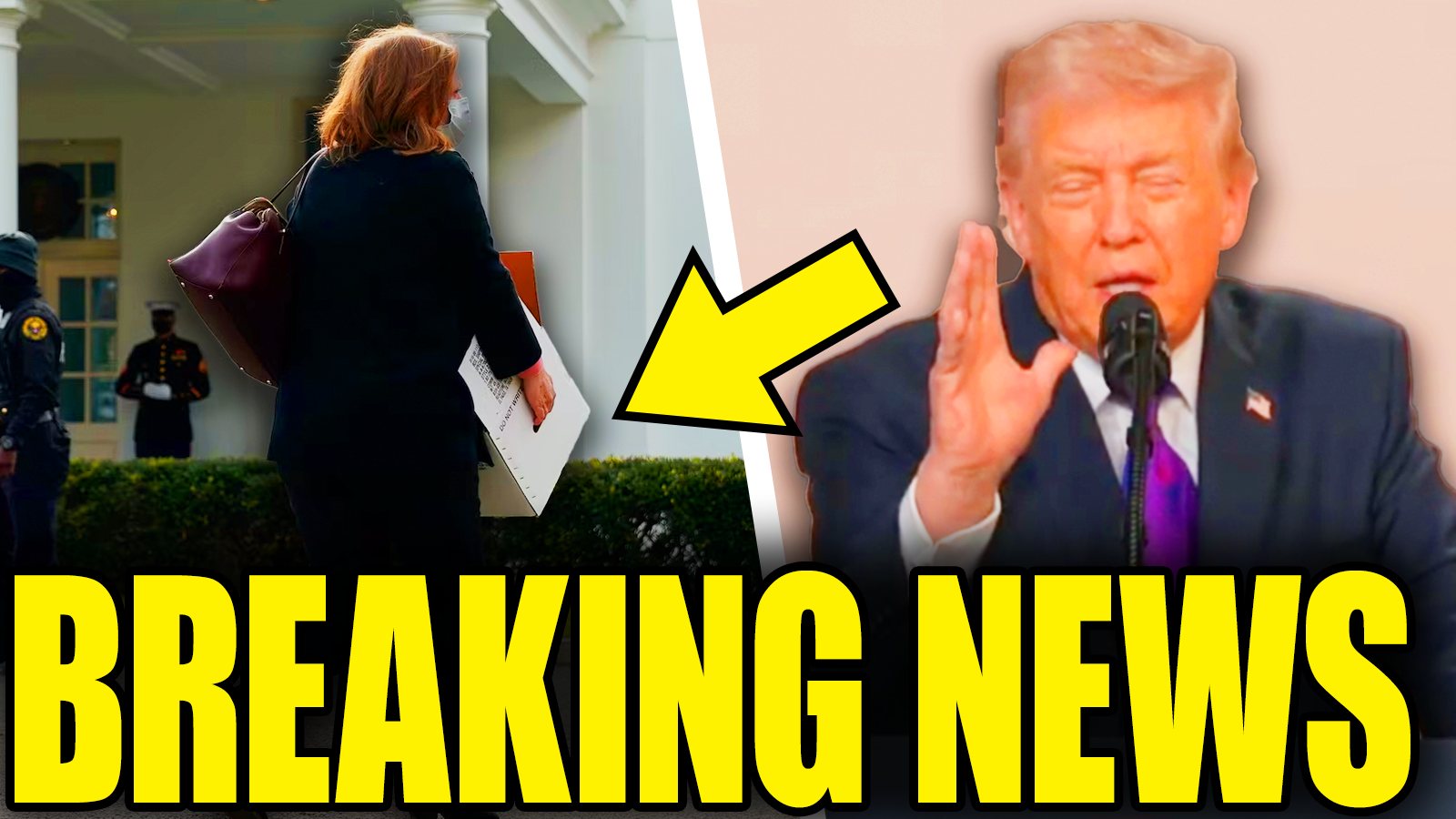 Another Republican Quits On Trump After Collapse In Congress episode artwork