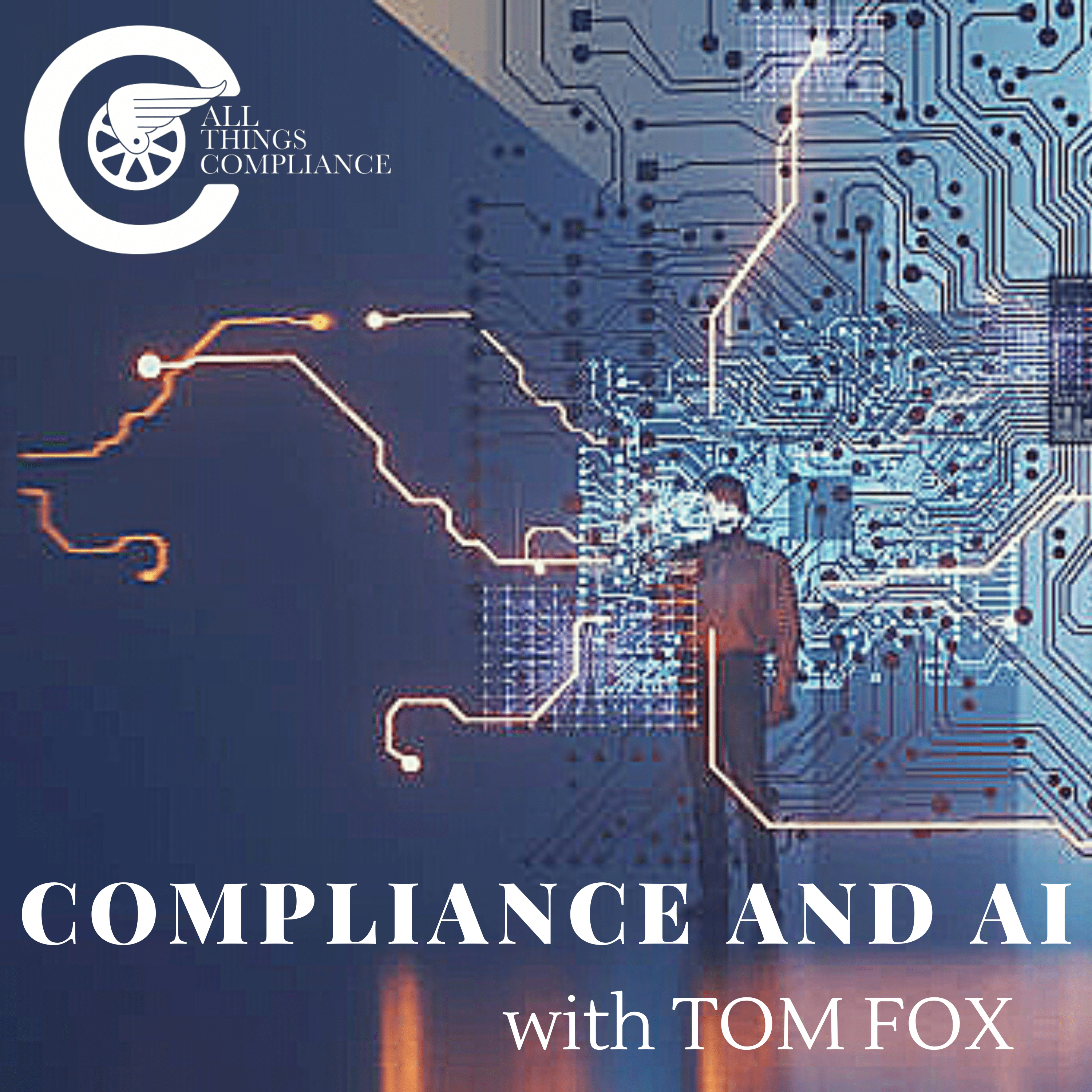 Karen Moore on The American Privacy Rights Act and AI episode artwork