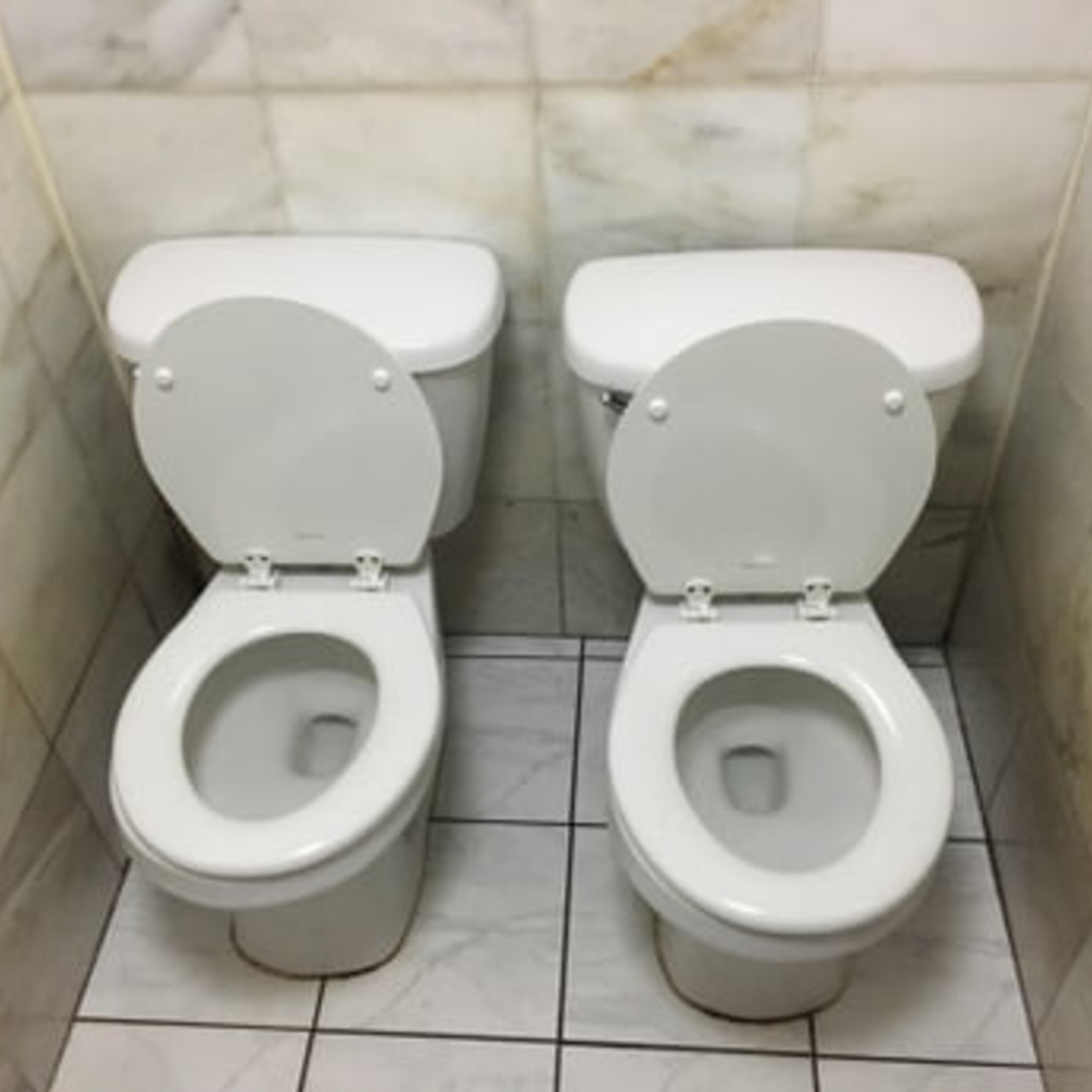 No, Your Bathroom Should Not Have Two Toilets episode artwork