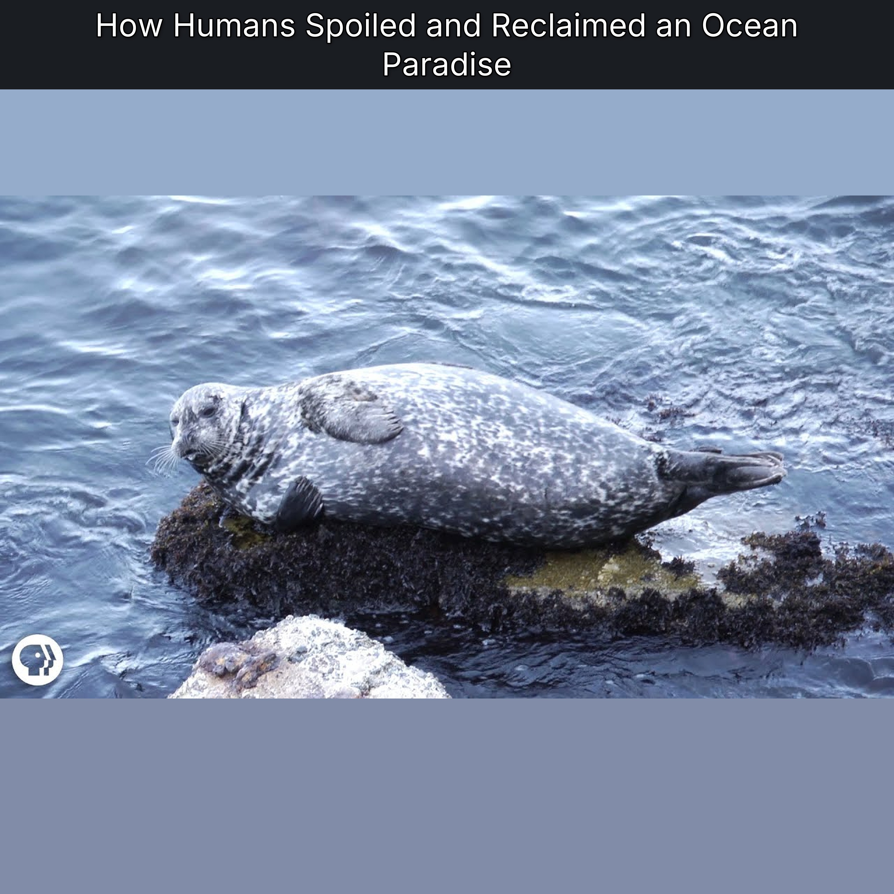 How Humans Spoiled and Reclaimed an Ocean Paradise episode artwork