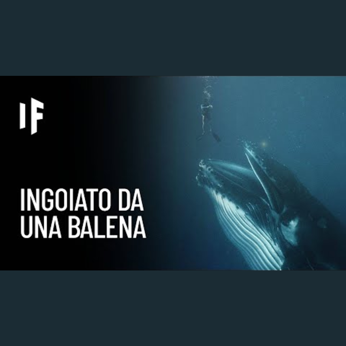 E se venissi inghiottito da una balena? episode artwork
