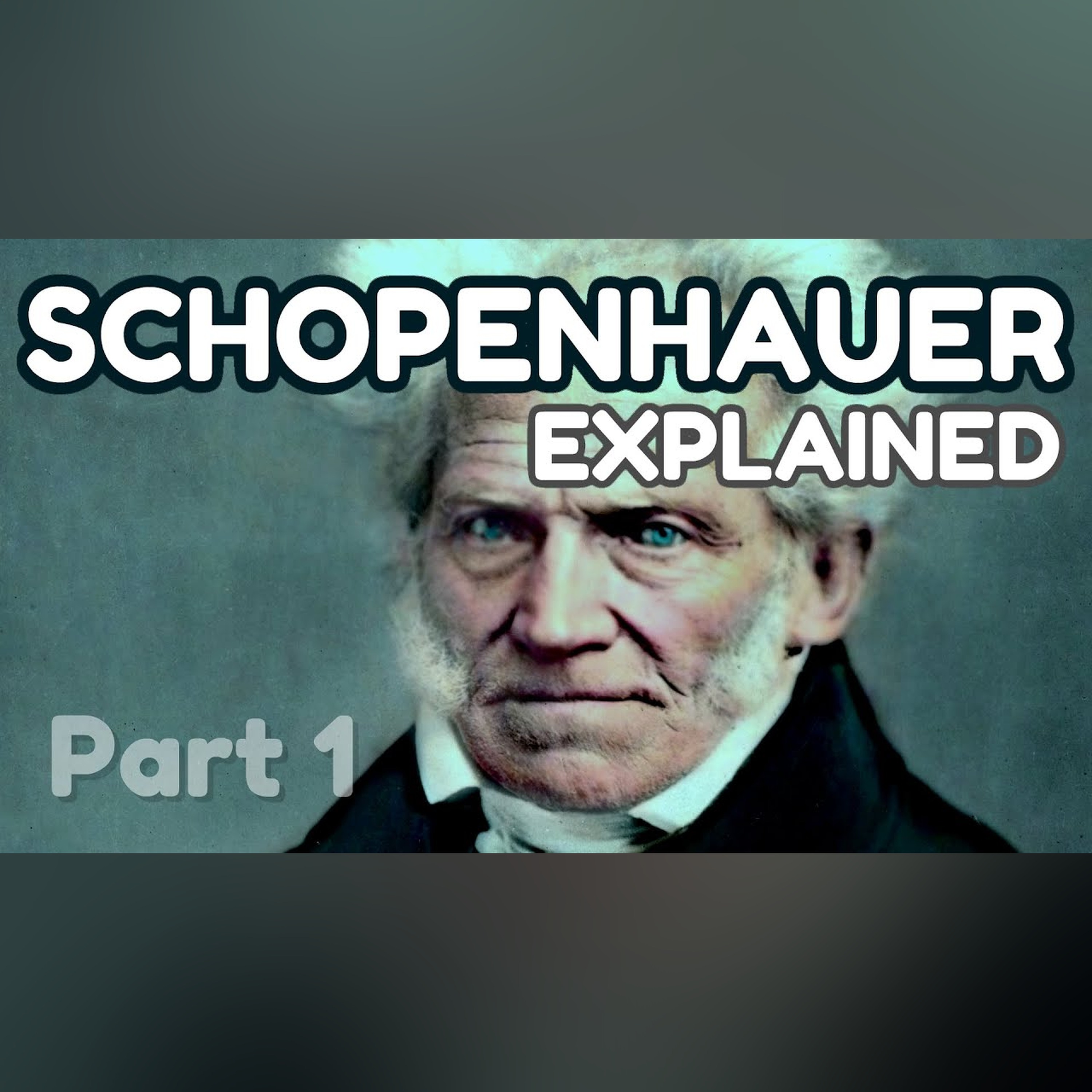 SCHOPENHAUER Explained: Metaphysics of the Will (pt. 1)