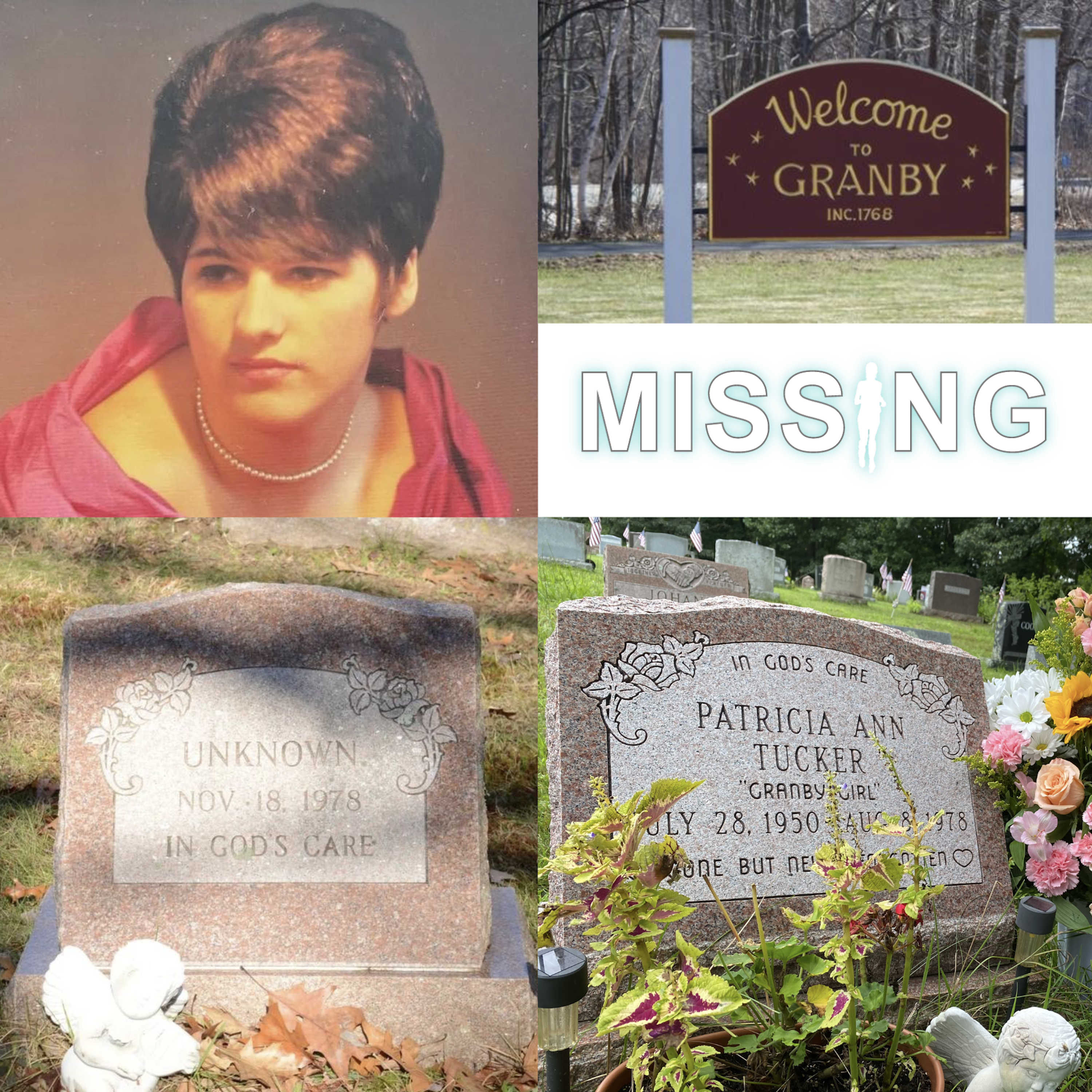 455 // Patricia Tucker