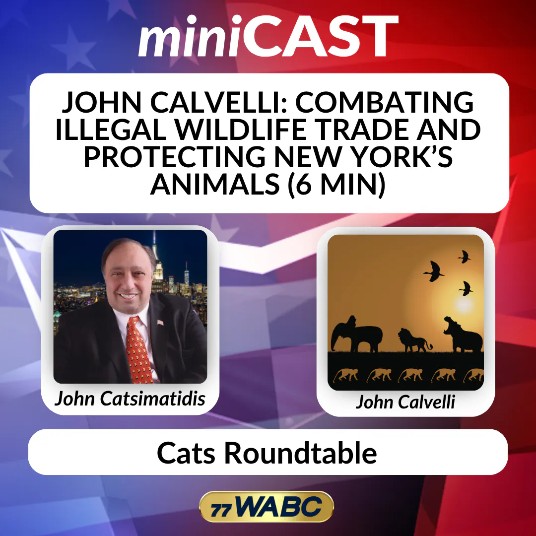 John Calvelli: Combating Illegal Wildlife Trade and Protecting New York’s Animals (6 min) John Calvelli: Combating Illegal Wildlife Trade and Protecting New York’s Animals (6 min)
