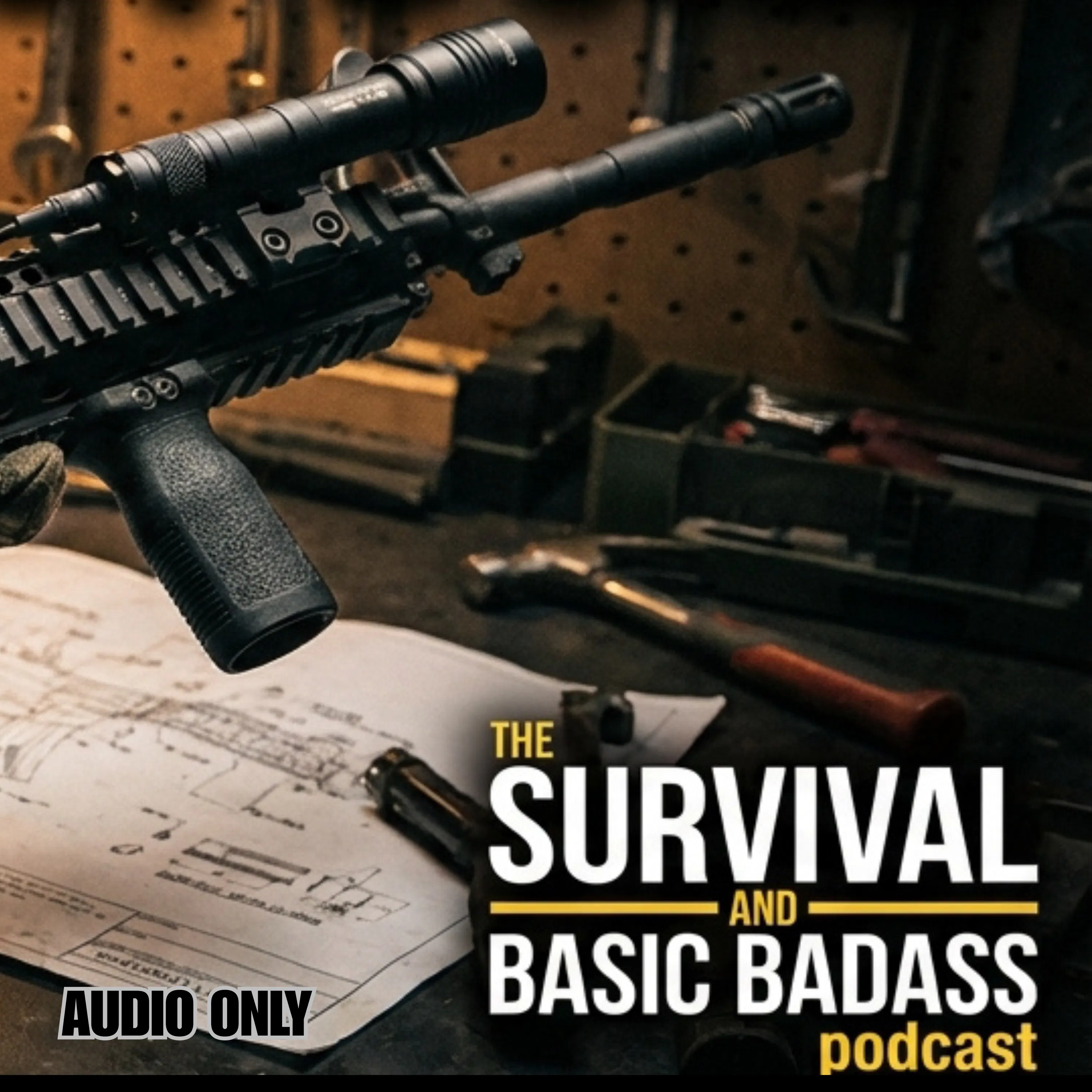 AR-15 on a Budget | Where to Spend, Where to Save episode artwork