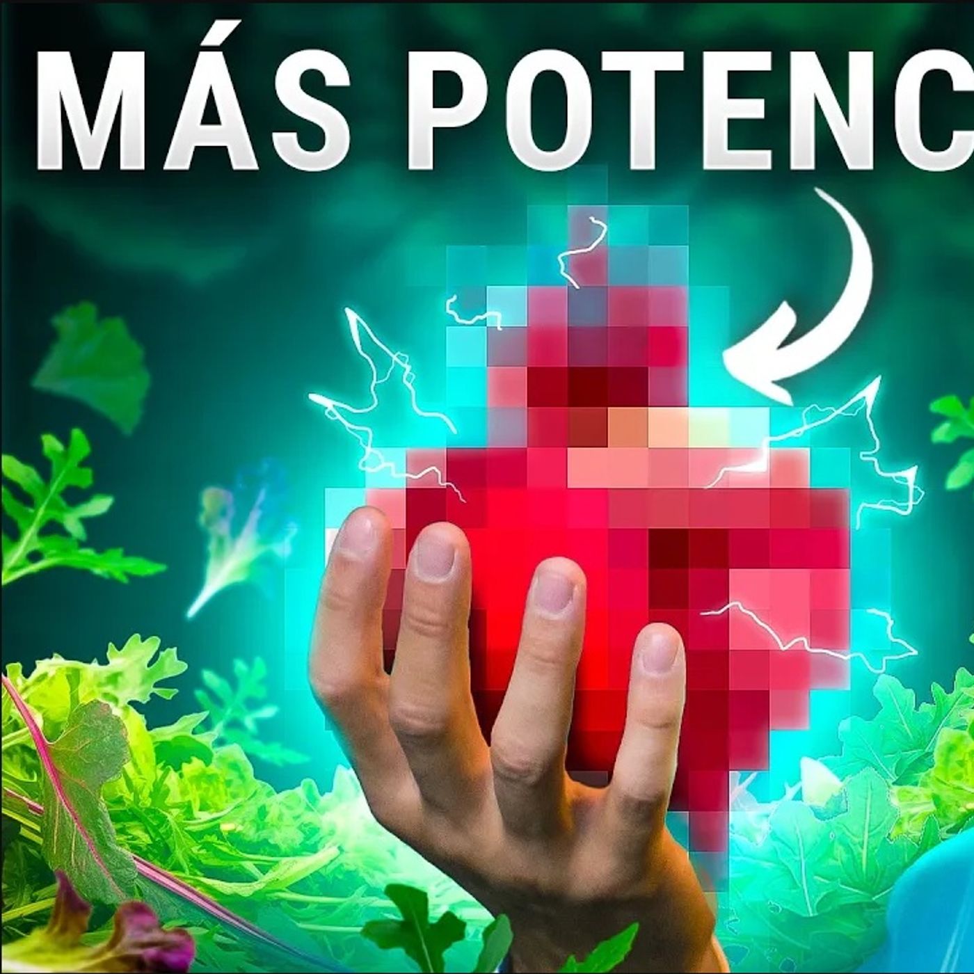 Portada de Dr. Borja Bandera