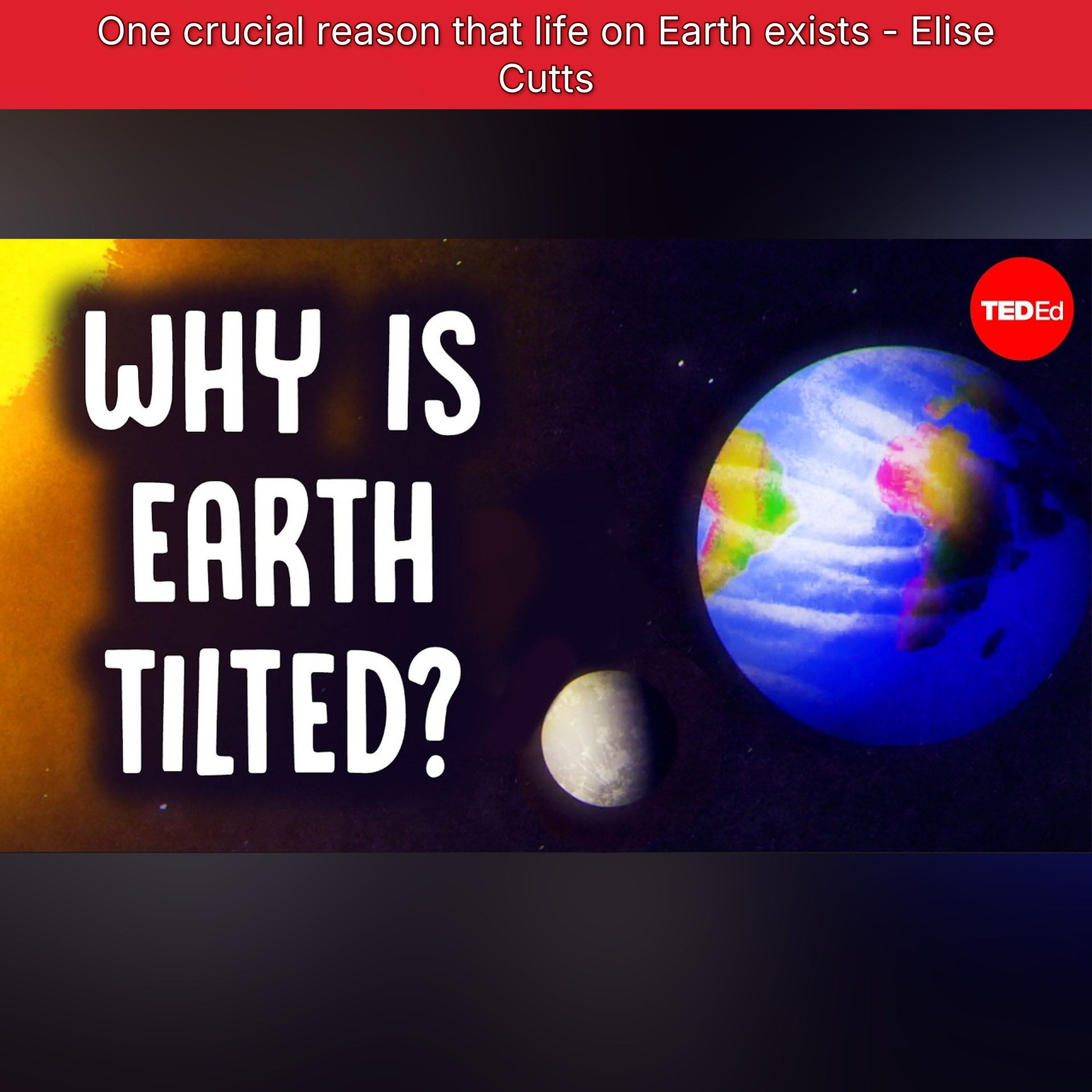 One crucial reason that life on Earth exists - Elise Cutts episode artwork