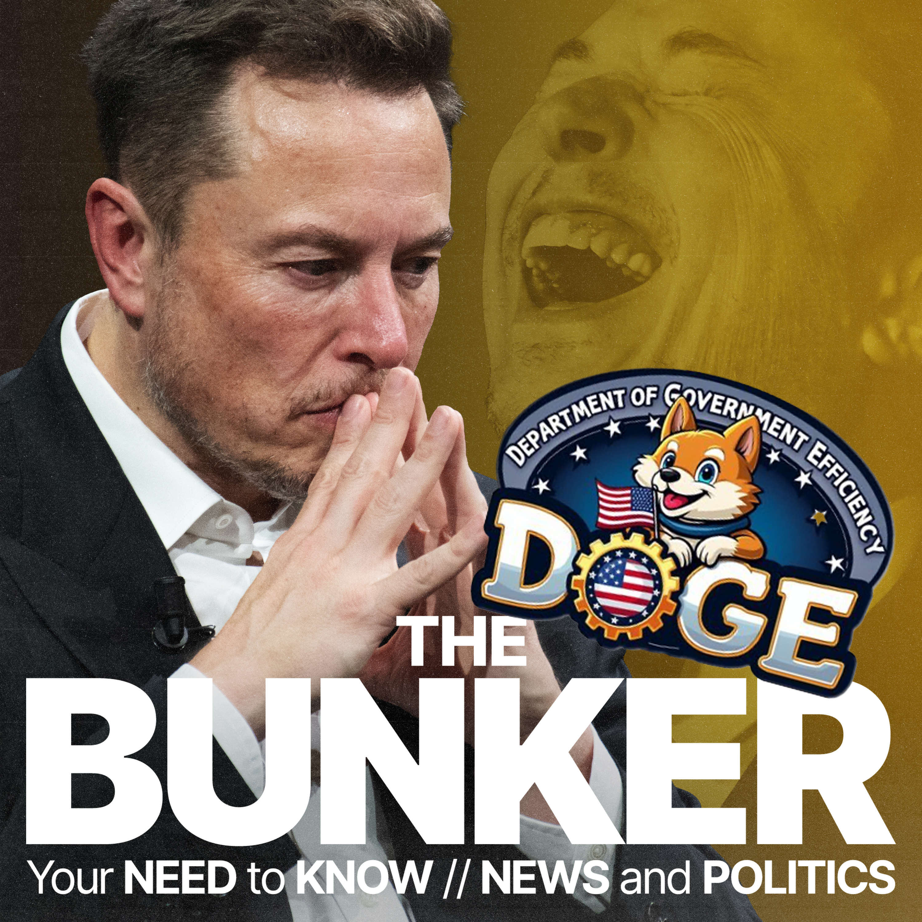 Why Elon Musk’s ‘DOGE’ plan is doomed to fail