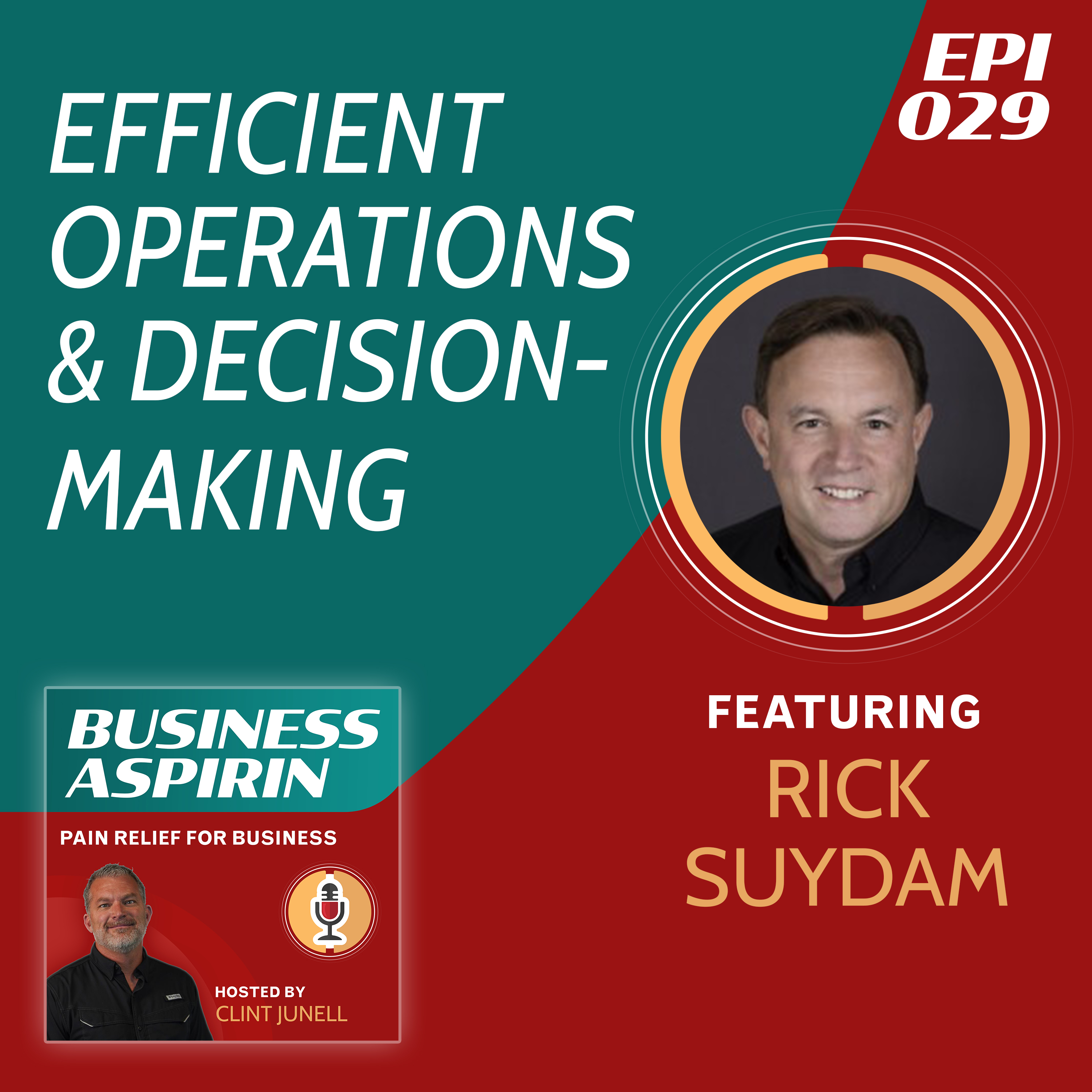 Business Aspirin:  Pain Relief for Business