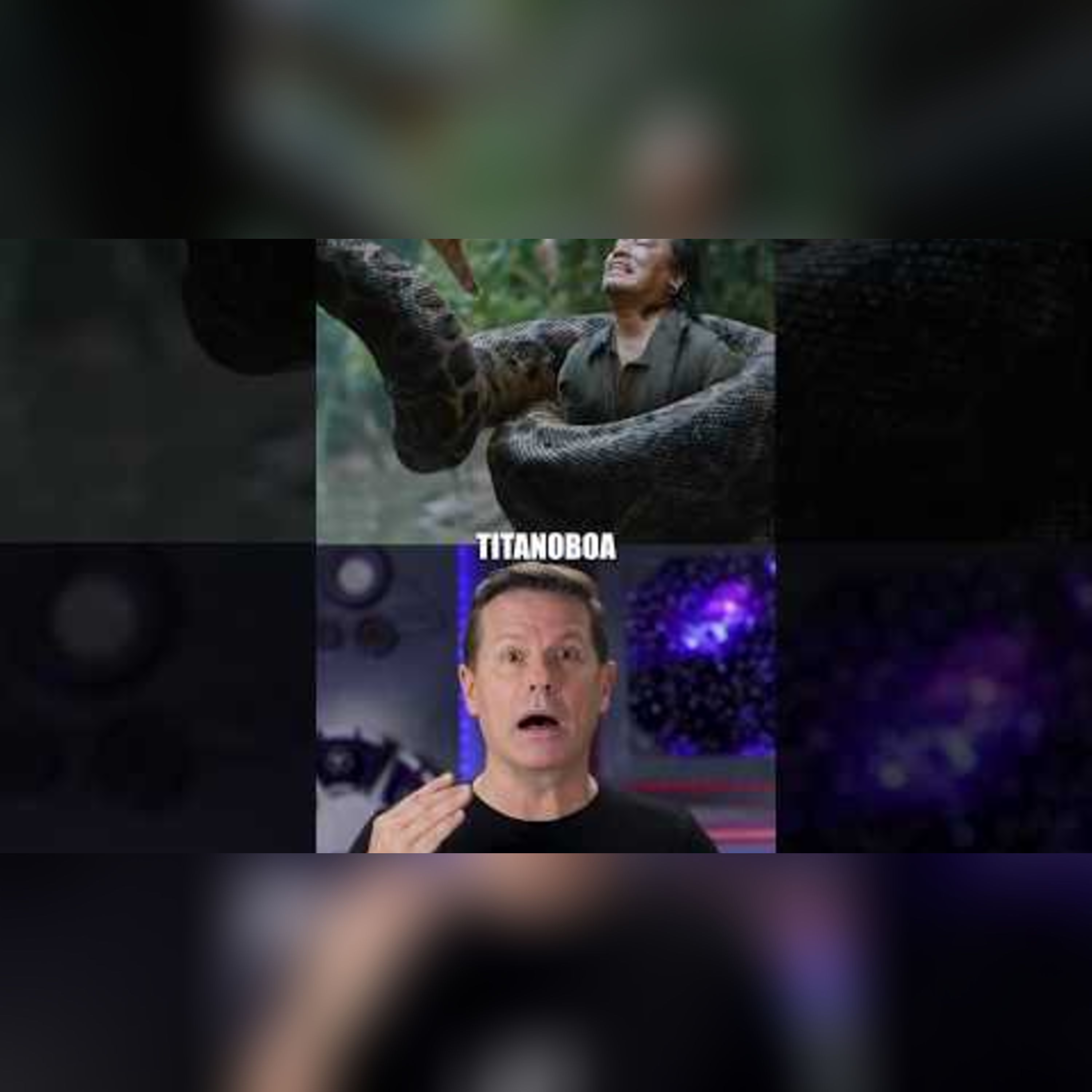 What If Titanoboa Was Still Alive?