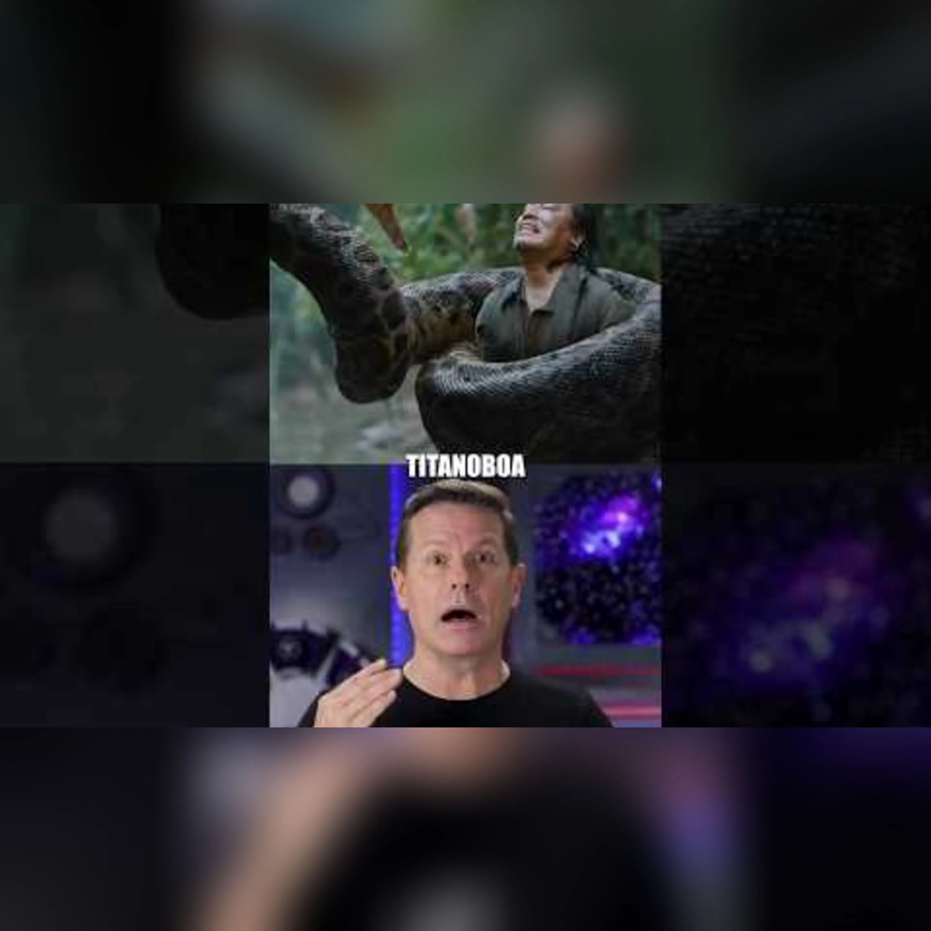 What If Titanoboa Was Still Alive?