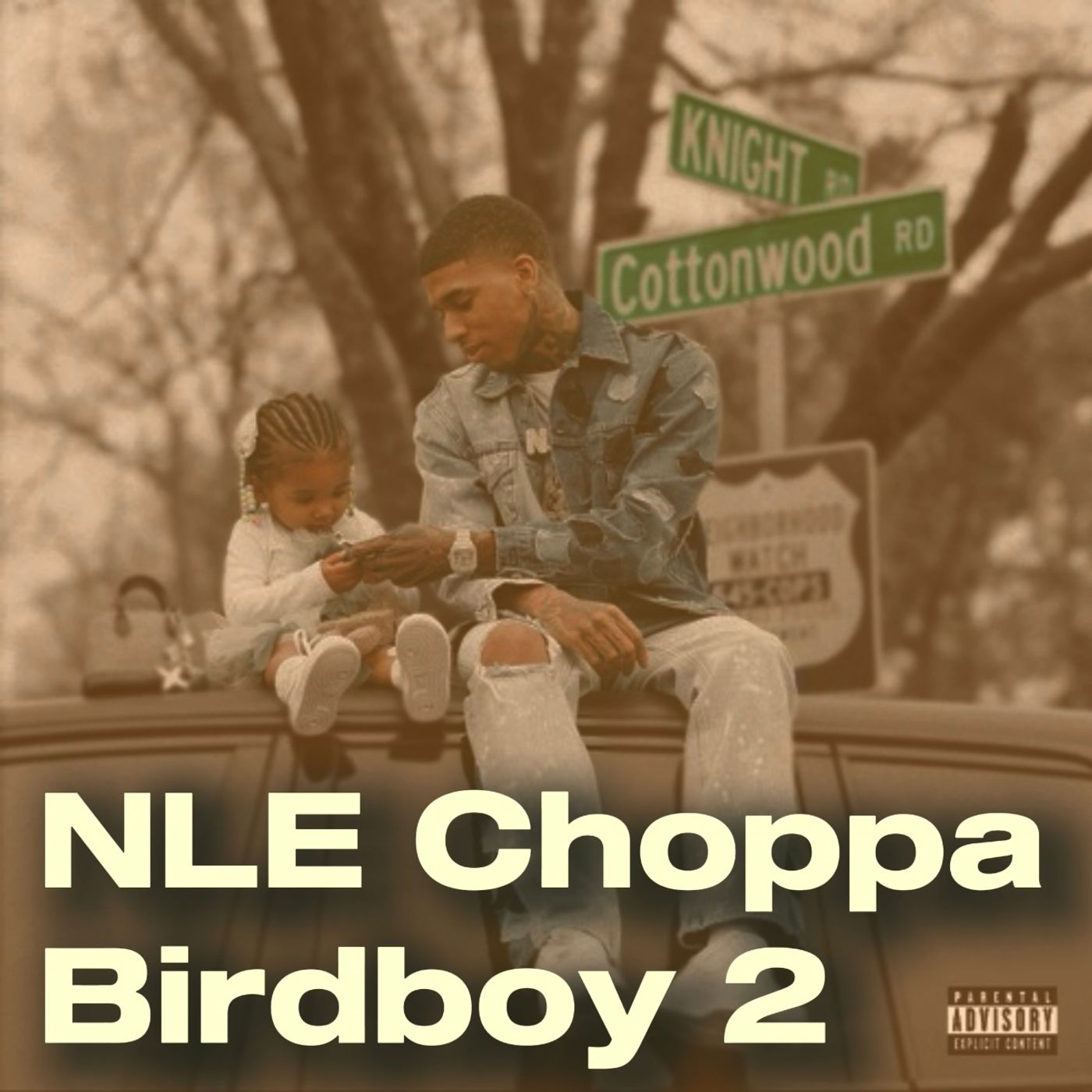 NLE Choppa - Birdboy 2 episode artwork