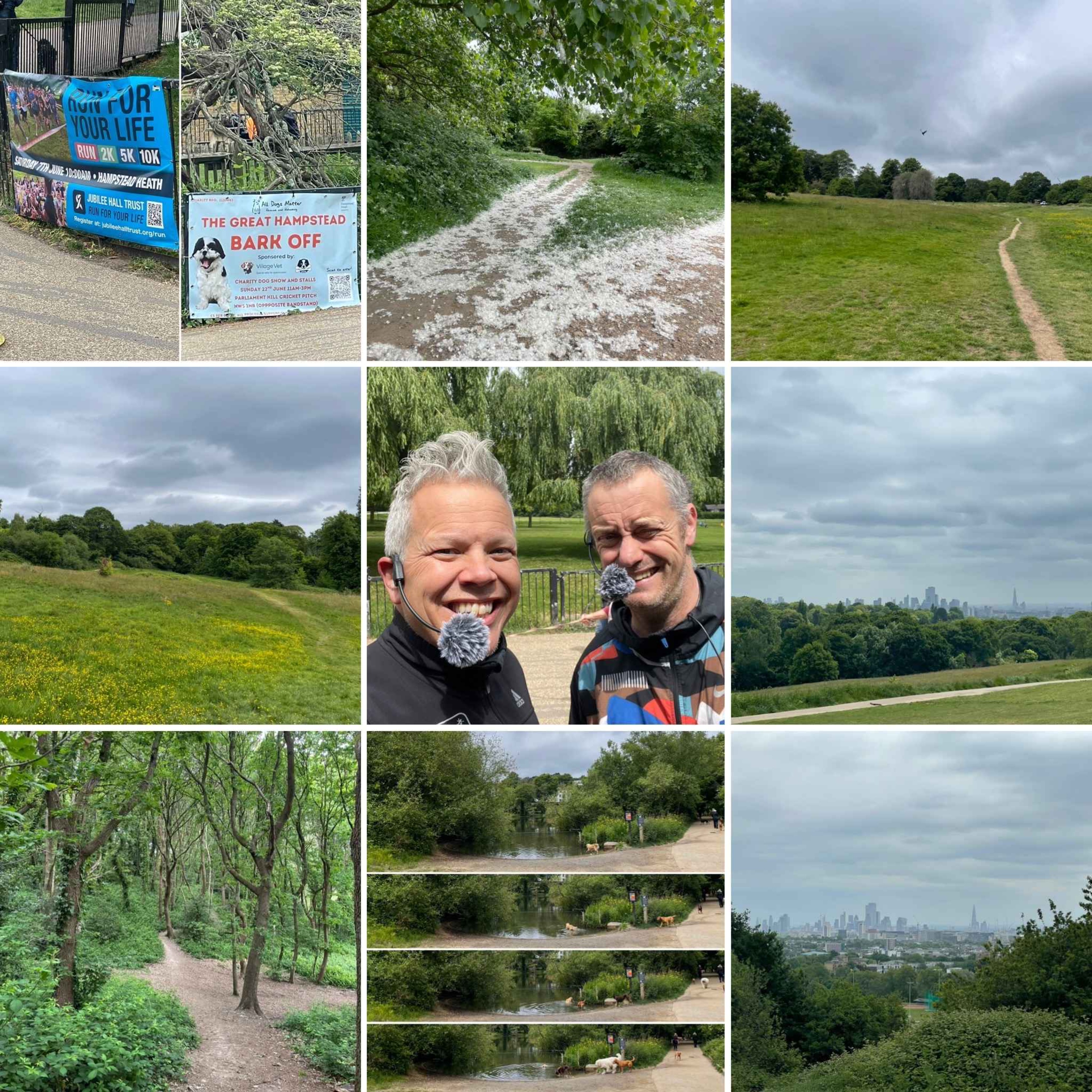 On Hampstead Heath With June Approaching