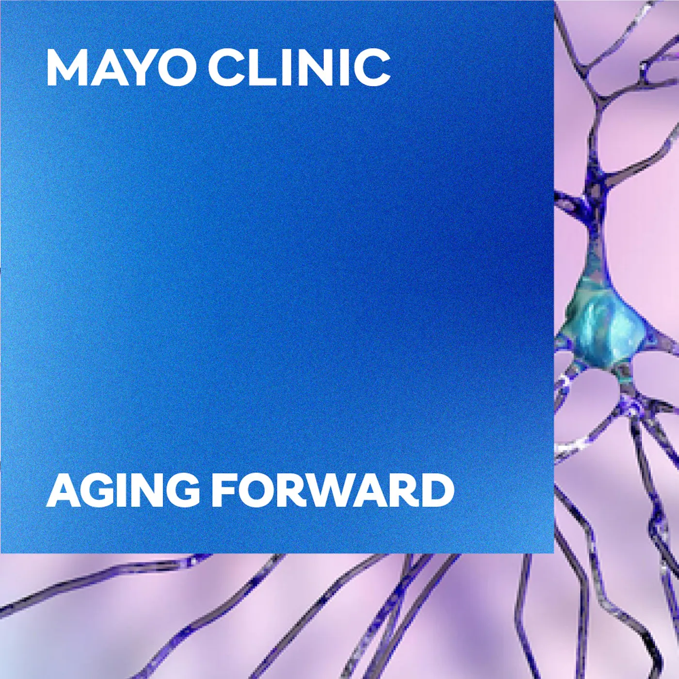 Is Dementia preventable?