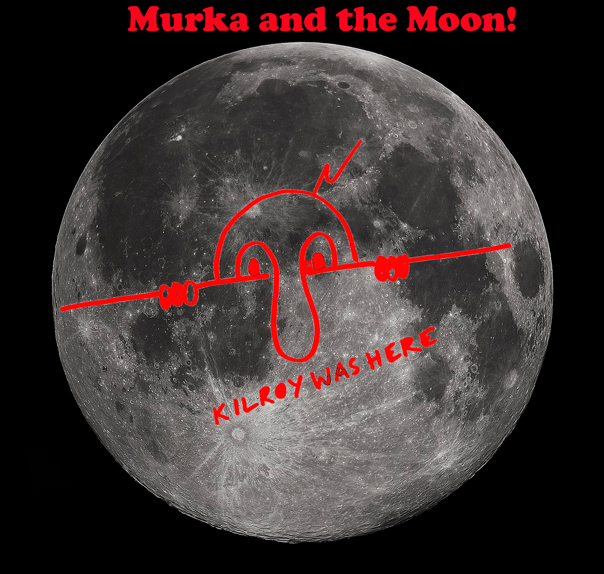 "Murka and the Moon"