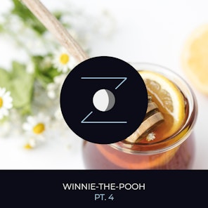 Winnie-the-Pooh pt. 4