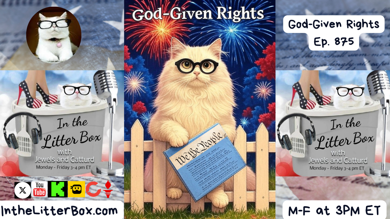 God-Given Rights | In the Litter Box w/ Jewels & Catturd – Ep. 875 – 9/5/2025