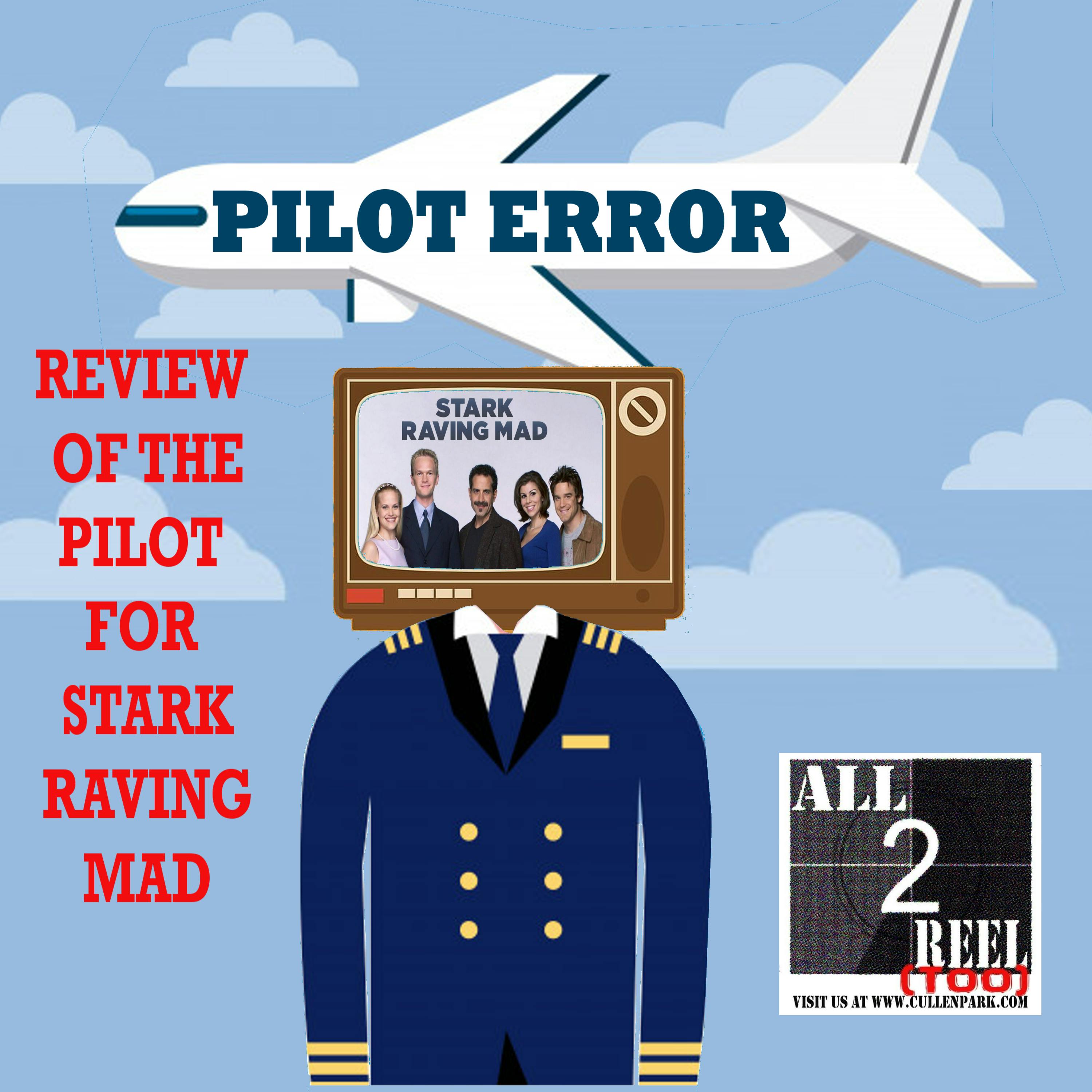 Stark Raving Mad ( 1999)  PILOT ERROR TV REVIEW Image