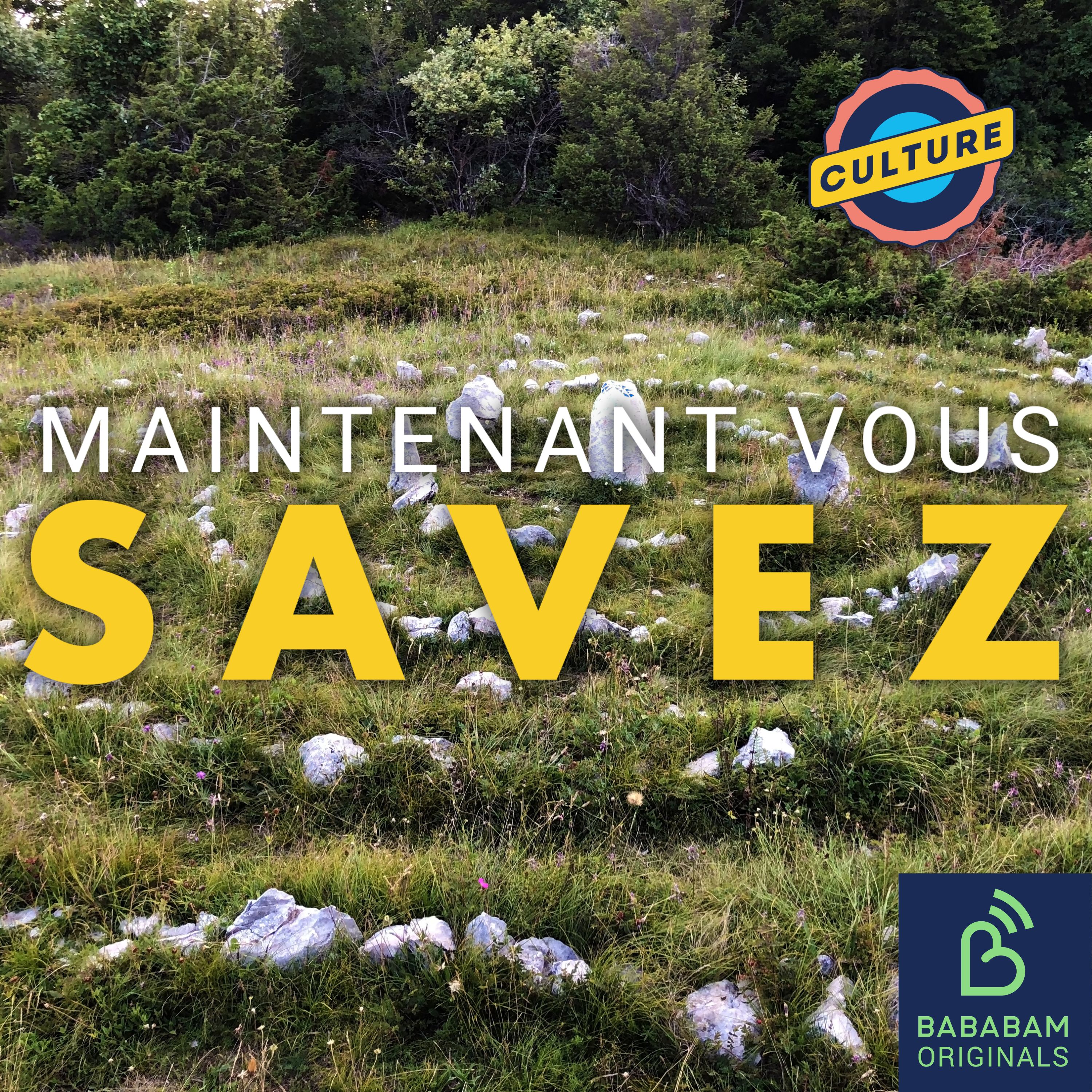 Qu’est-ce que le Land art, ce courant artistique qui joue avec la nature ?