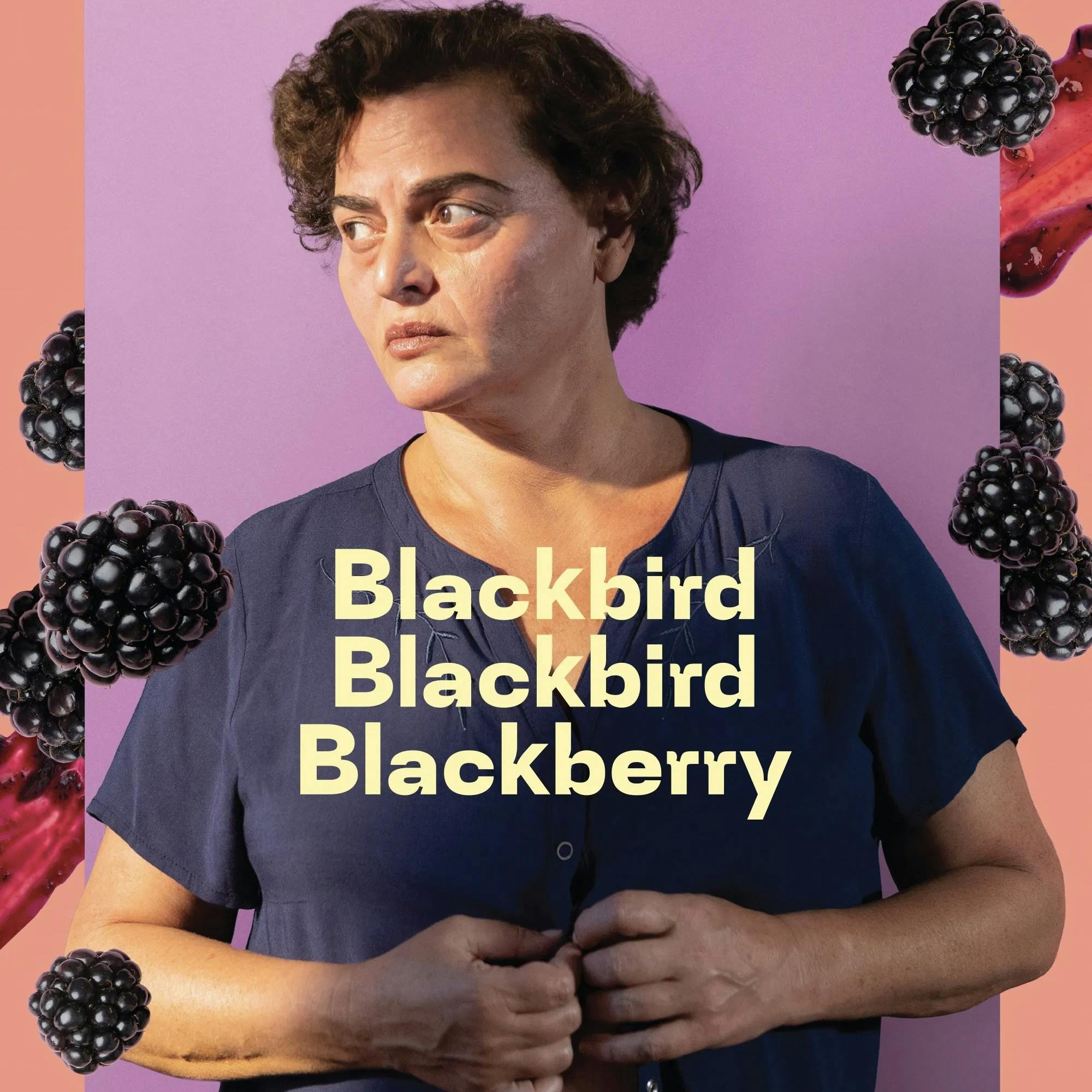 Flicking #66: Blackbird Blackbird Blackberry