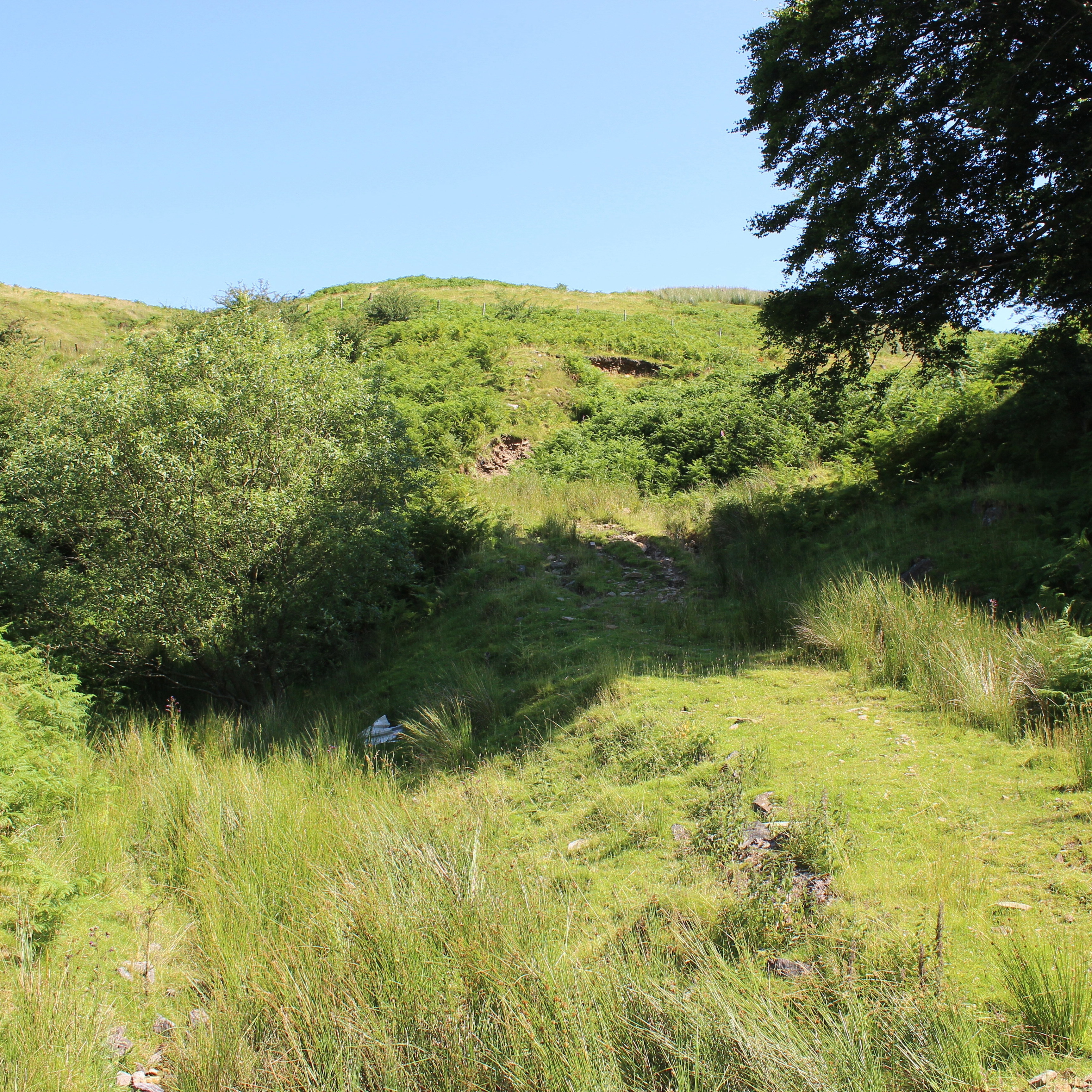 Sound Escape 116: A stream sparkles through Silent Valley