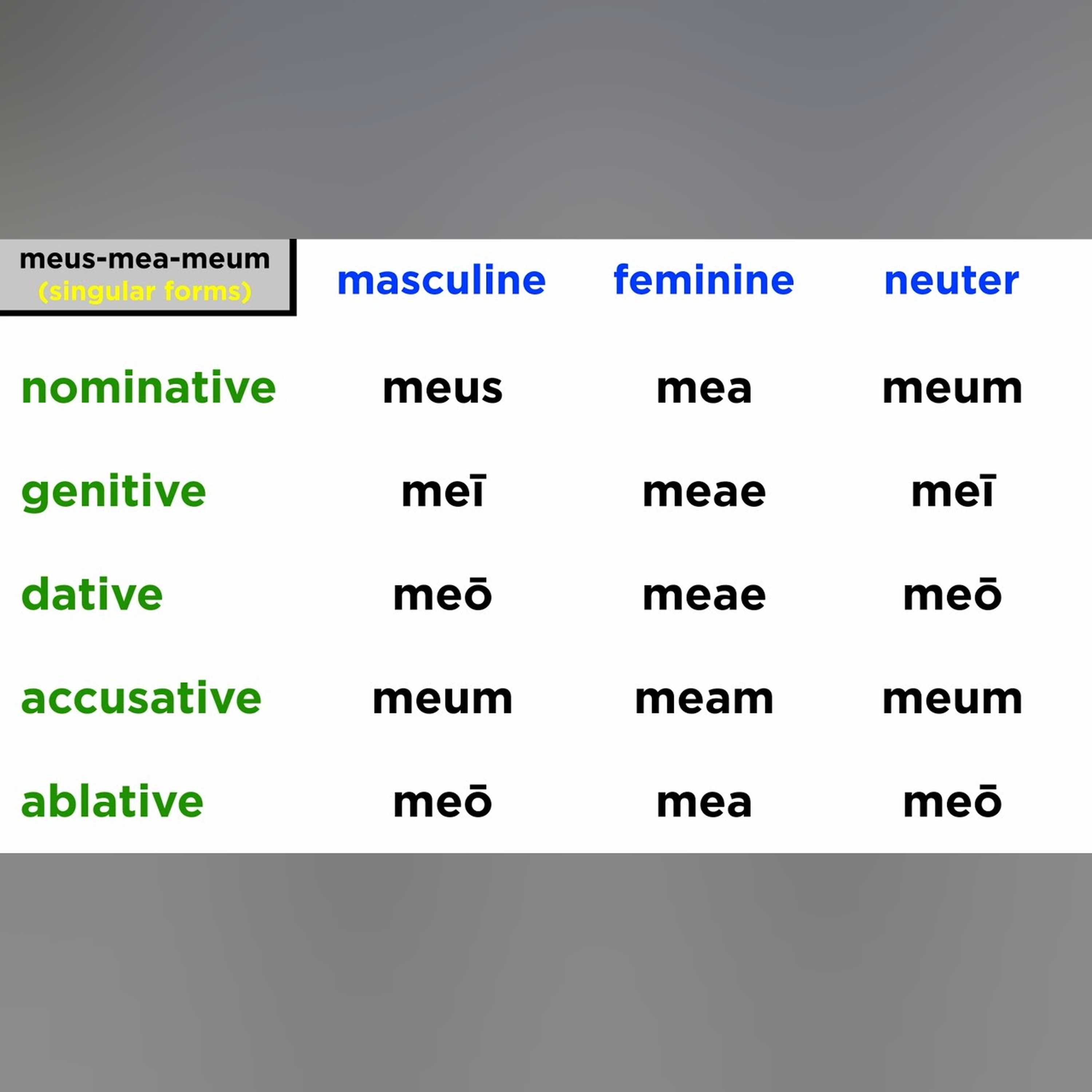Possessive Adjectives and Pronouns in Latin