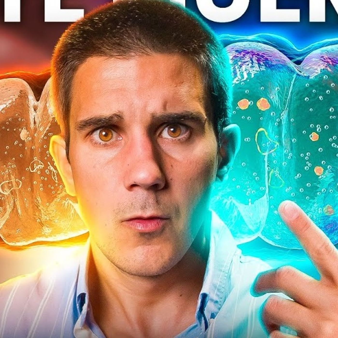 Portada de Dr. Borja Bandera