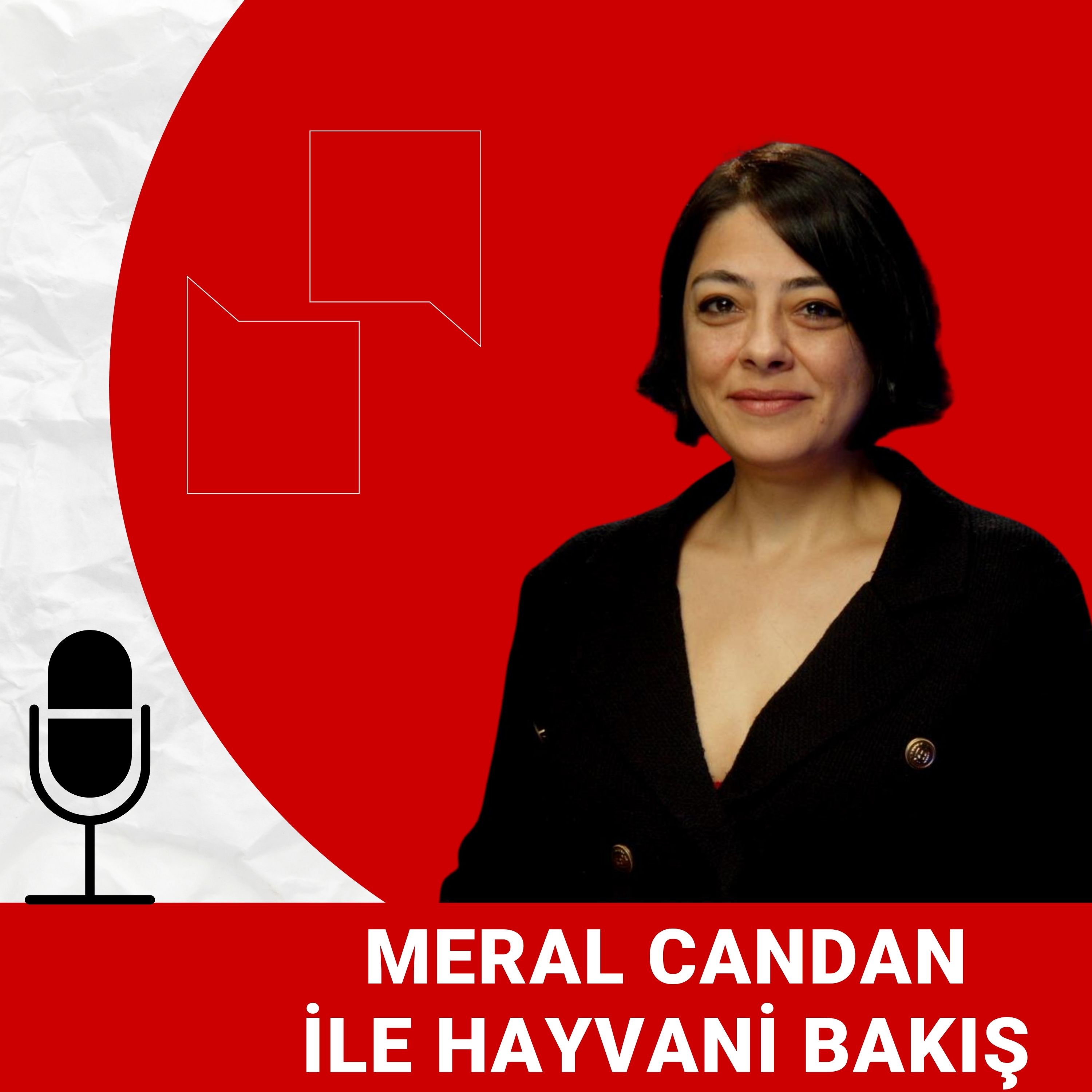 Eros, Cezve, Matmazel: Hayvana şiddette cezasızlık gerçeği | Hilal Koçak | Patidio ile Hayvani Bakış episode artwork