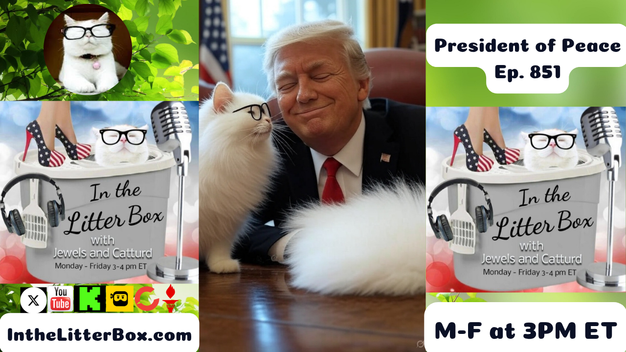 President of Peace | In the Litter Box w/ Jewels & Catturd – Ep. 851 – 7/29/2025