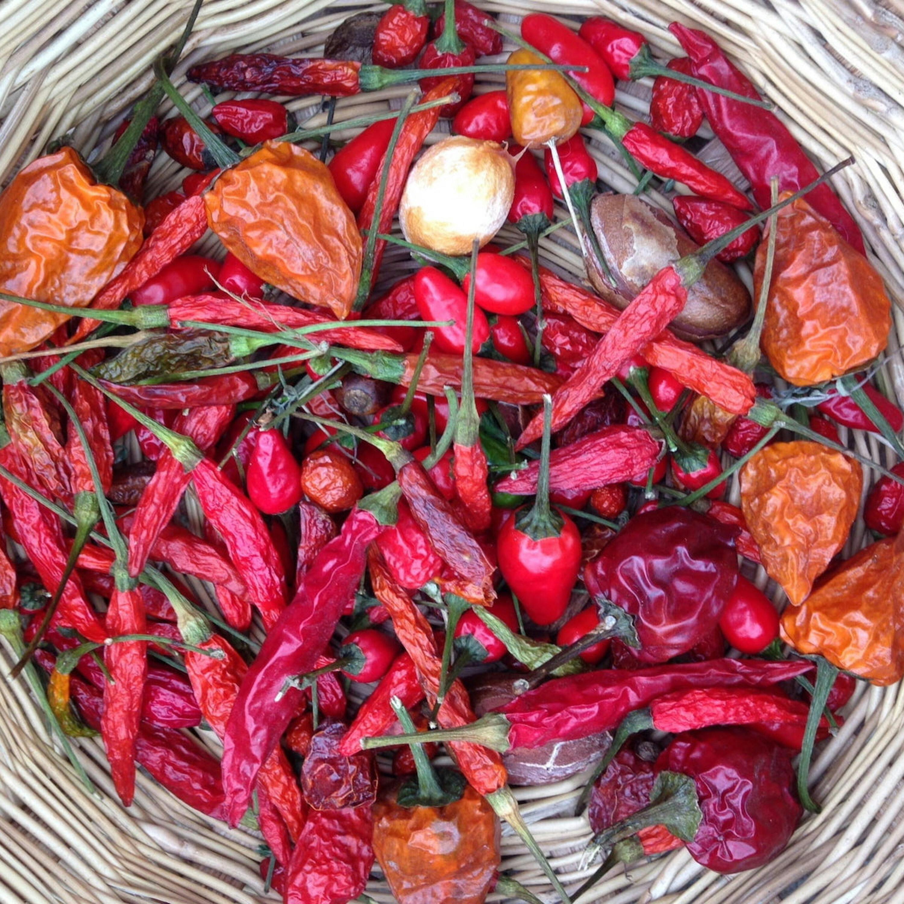 So Hot Right Now: Why We Love the Chile Pepper
