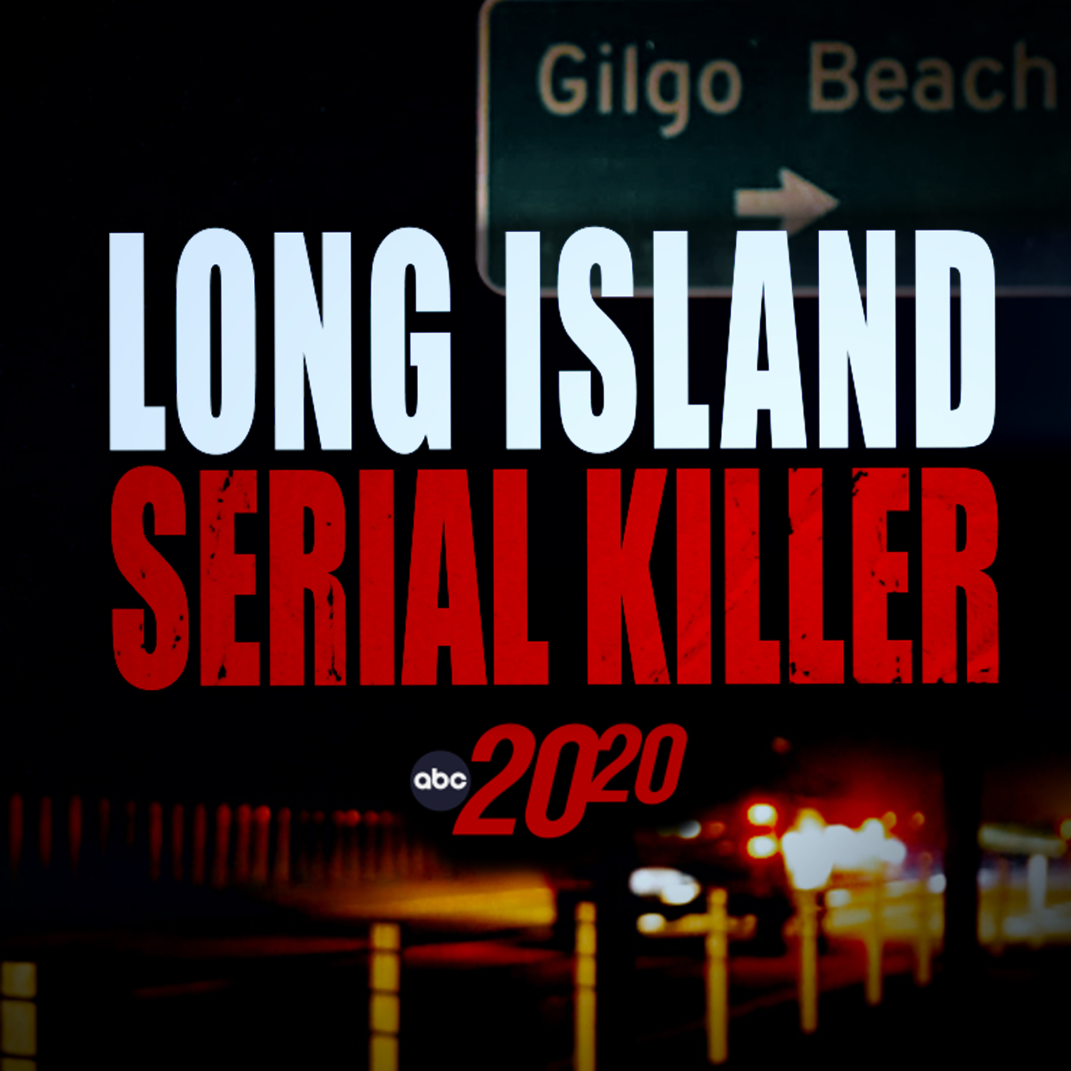 Long Island Serial Killer