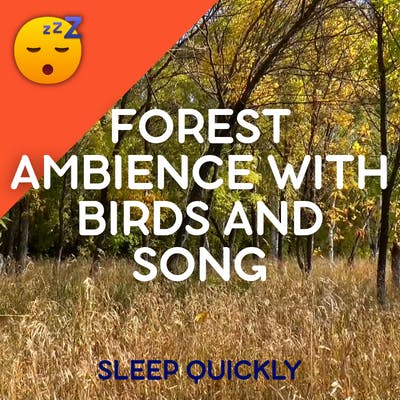 😴🍂🎵 FOREST Ambience with BIRDS and SONG to Fall ASLEEP episode artwork
