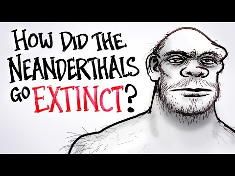 How Did The Neanderthals Go Extinct? | After Skool episode artwork