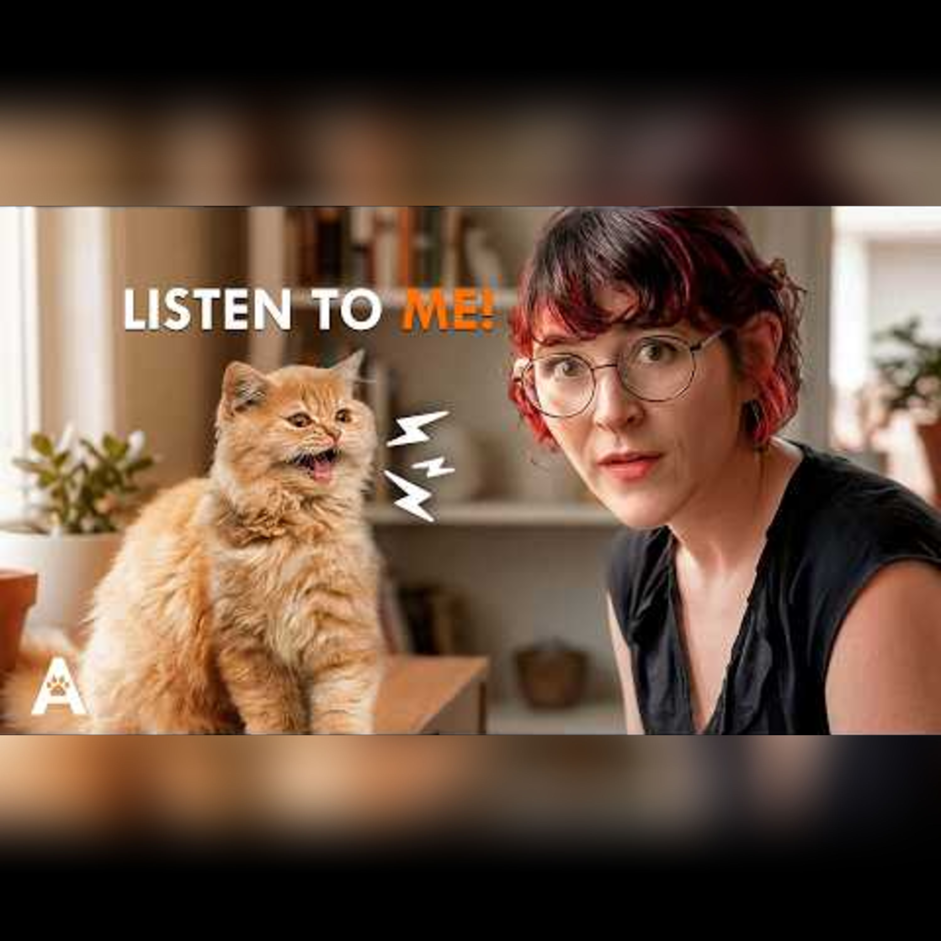 Understanding Cat Communication episode artwork