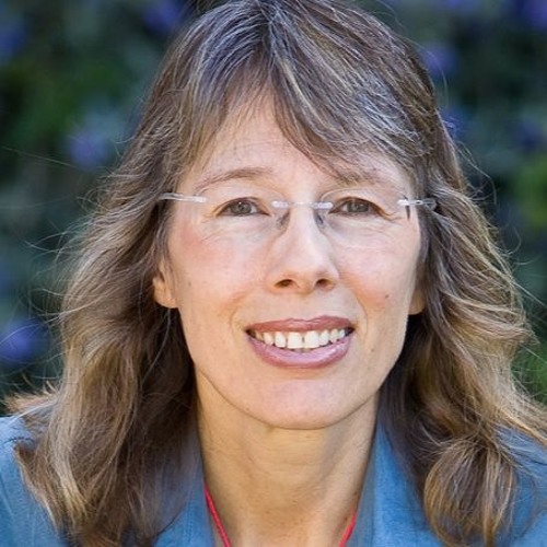 Digital Democracy: The Cyberworld of Citizen Activism | Brad Friedman, John Stauber, and Joan Blades