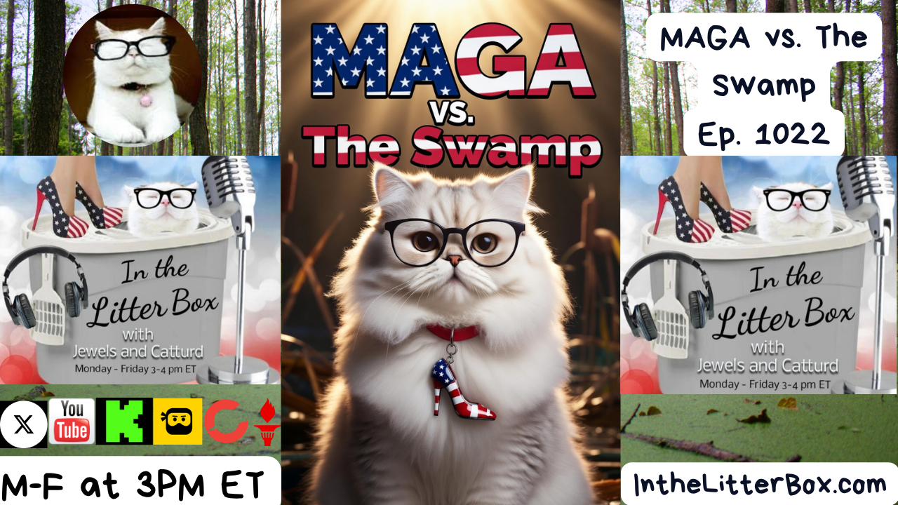 MAGA vs. The Swamp | In the Litter Box w/ Jewels Jones & Catturd – Ep. 1022 5/11/2026