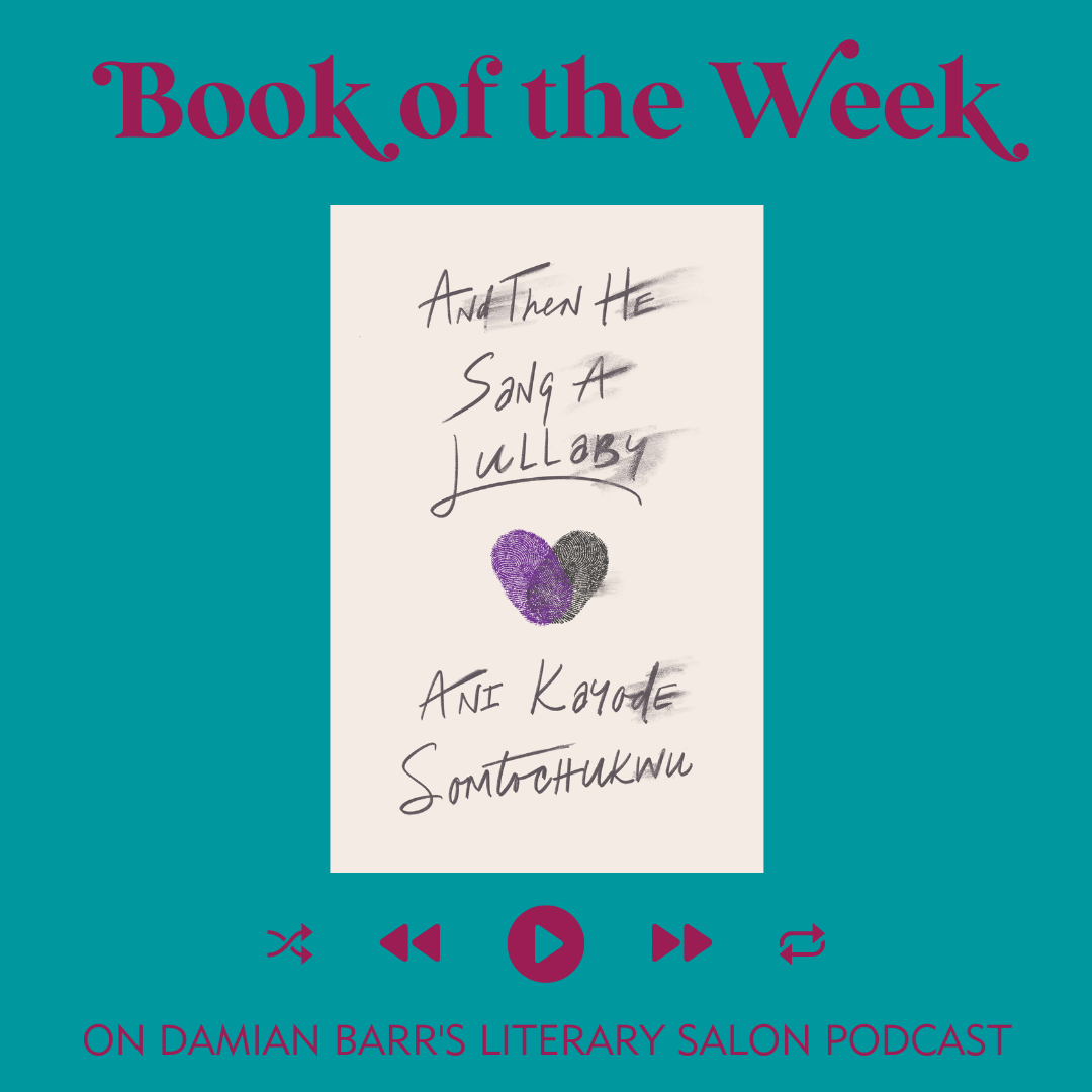 BOOK OF THE WEEK: And Then He Sang A Lullaby by Ani Kayode Somtochukwu