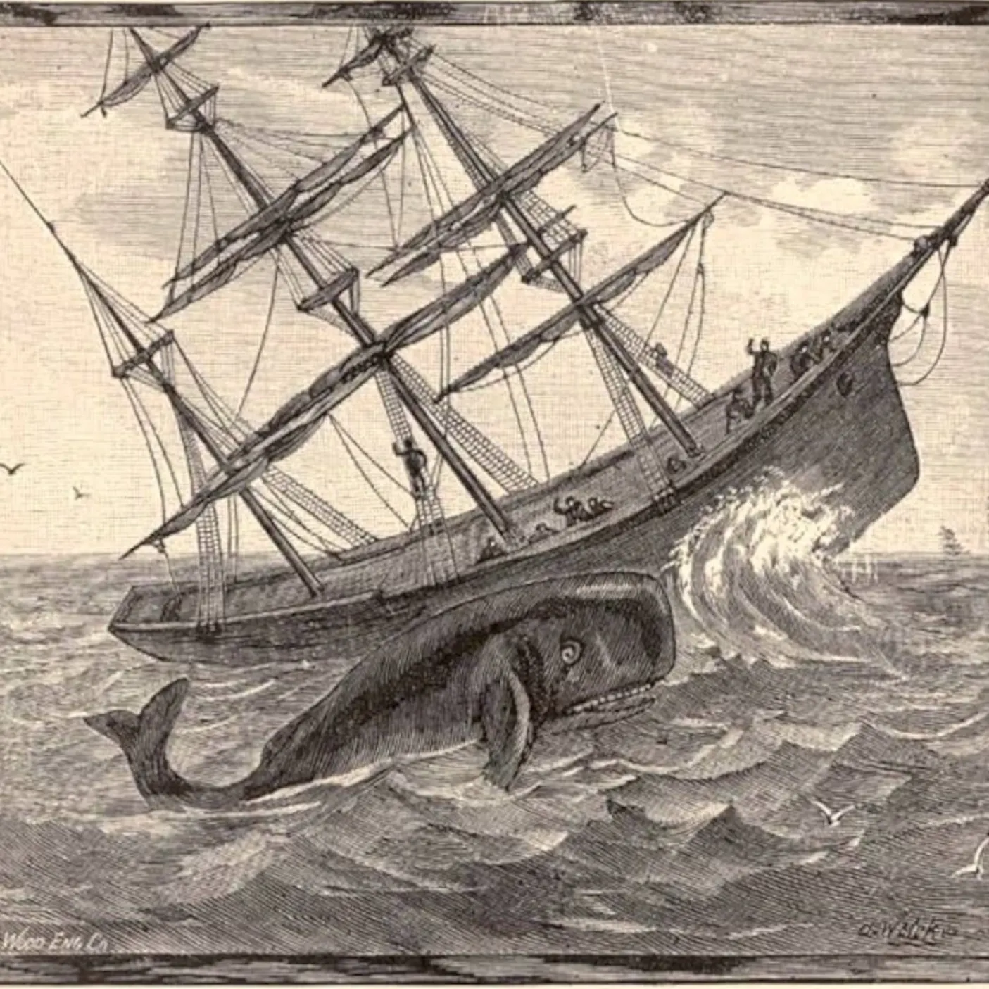 The Whaleship Essex (Bonus) The Whaleship Essex (Bonus)