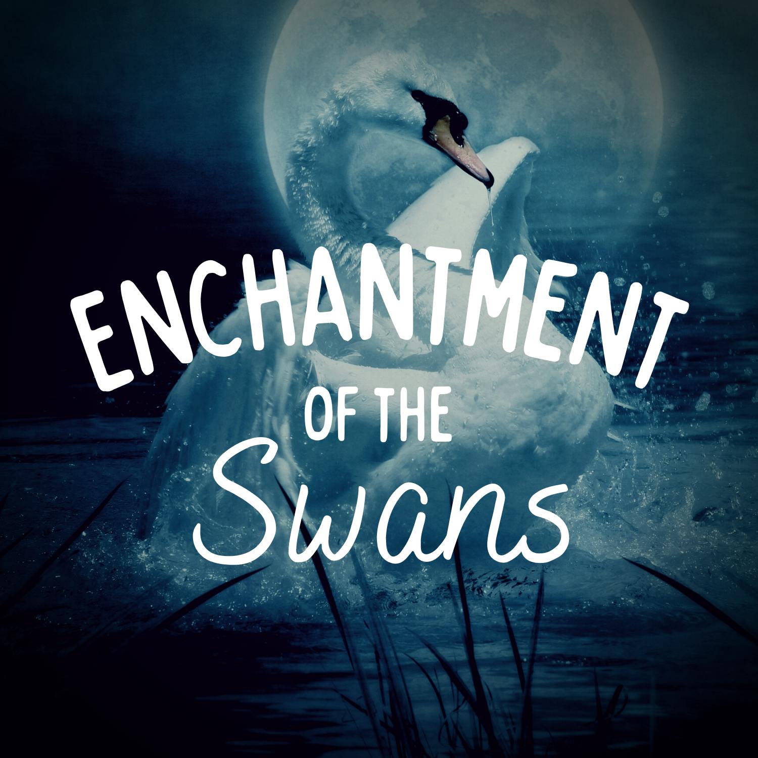 Enchantment of the Swans