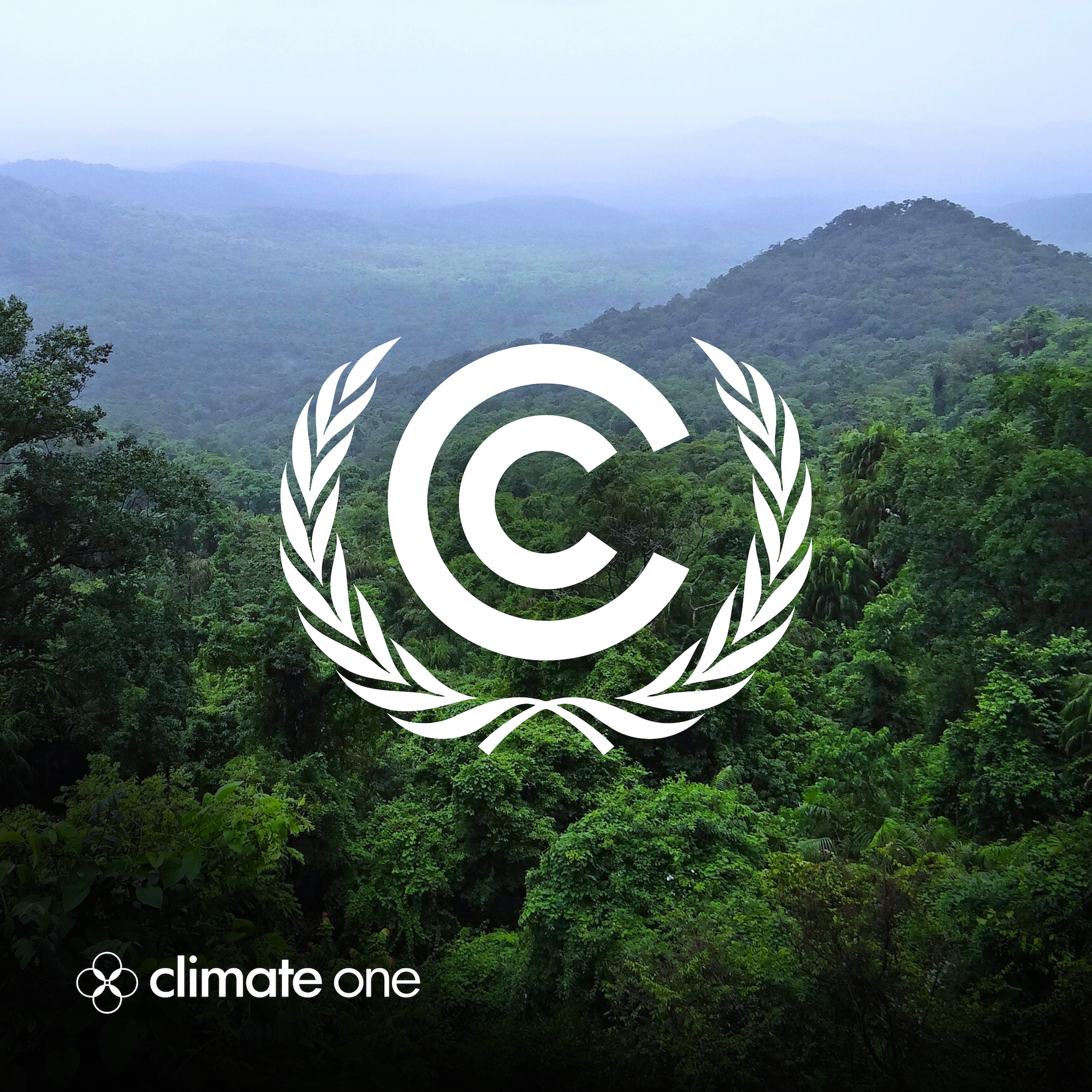 Reports from COP30: Climate Talks in the Amazon