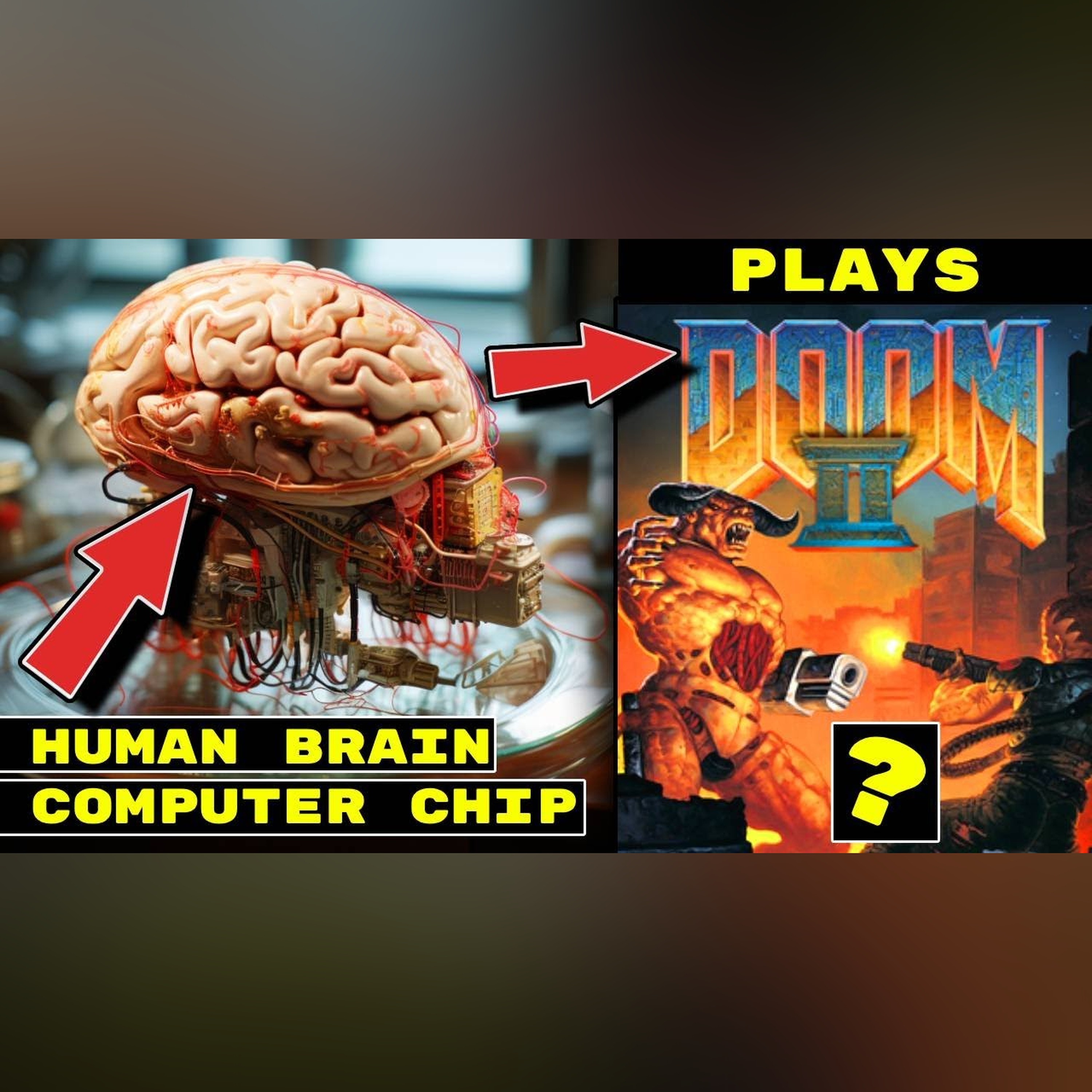 AI News is Getting *WEIRD* Human Brain Matter in Chips. OpenAI tutorial. Amazon unleashed it's AI.