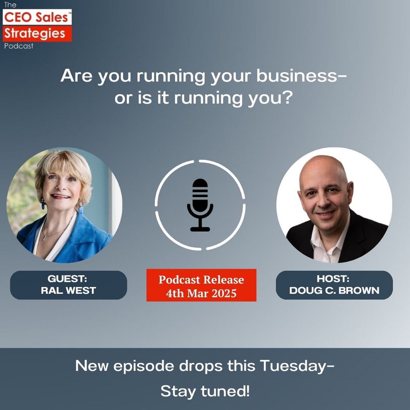 Scaling Your Business with Automation: Systems, Leverage & Data [Episode 176] episode artwork