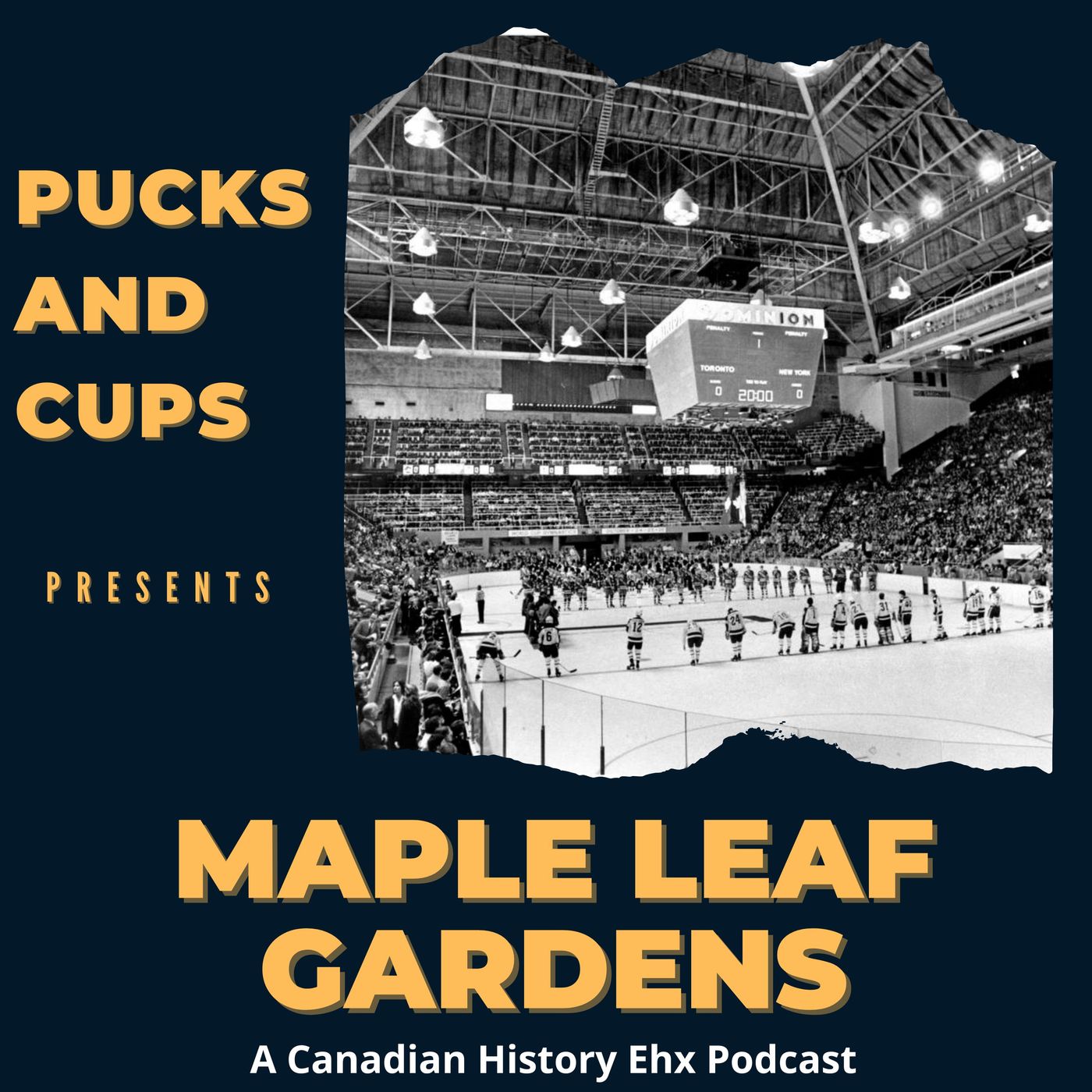 A Hockey Cathedral: Maple Leaf Gardens artwork
