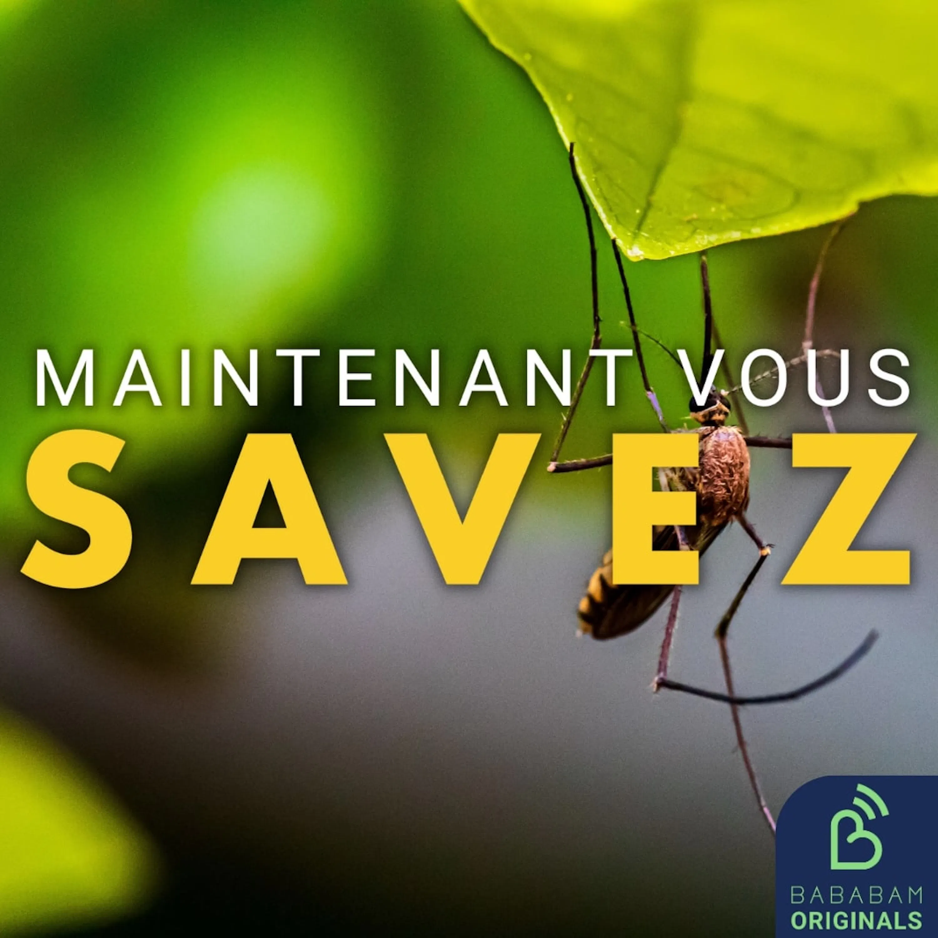 Pourquoi certaines peaux attirent-elles davantage les moustiques ?