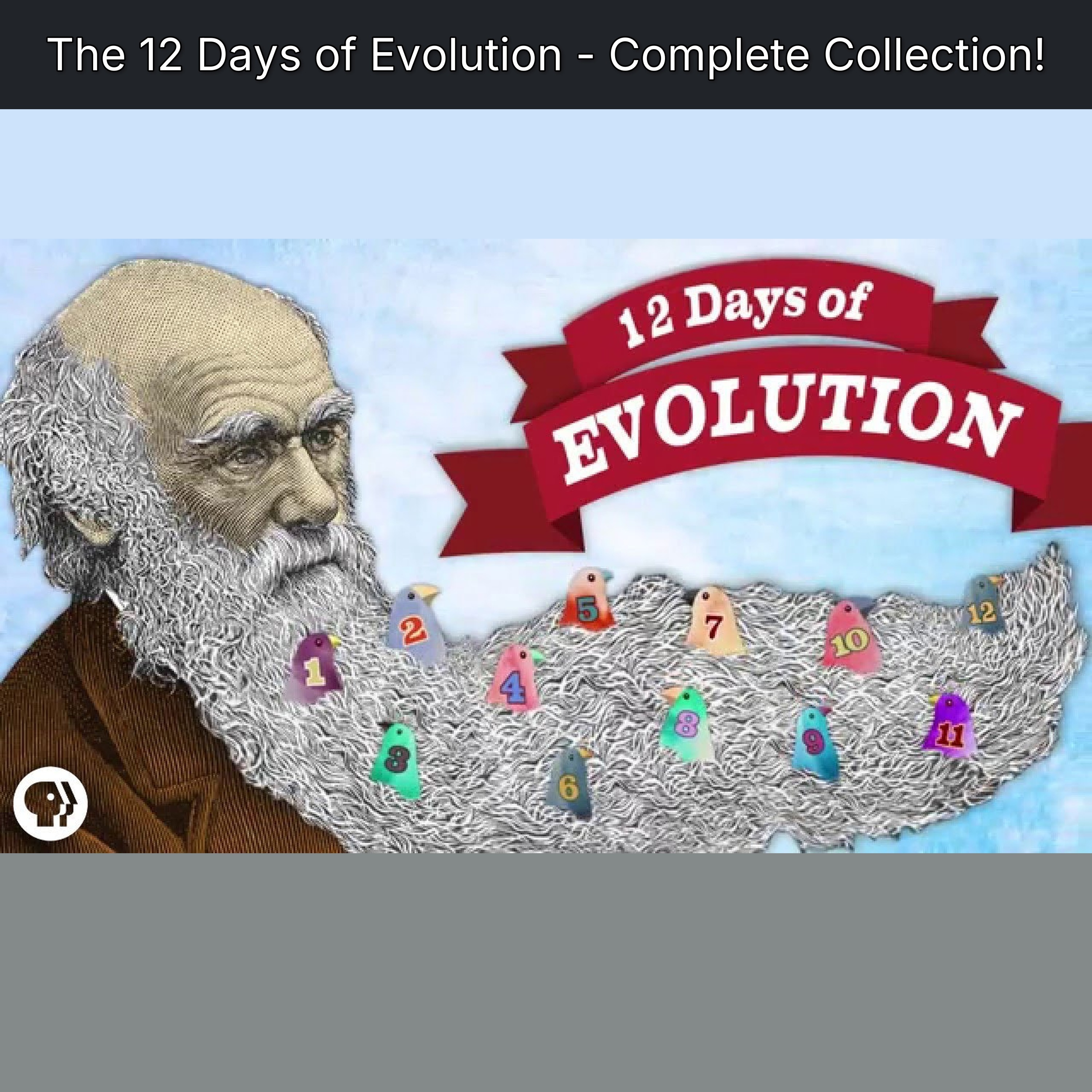 The 12 Days of Evolution - Complete Collection! episode artwork