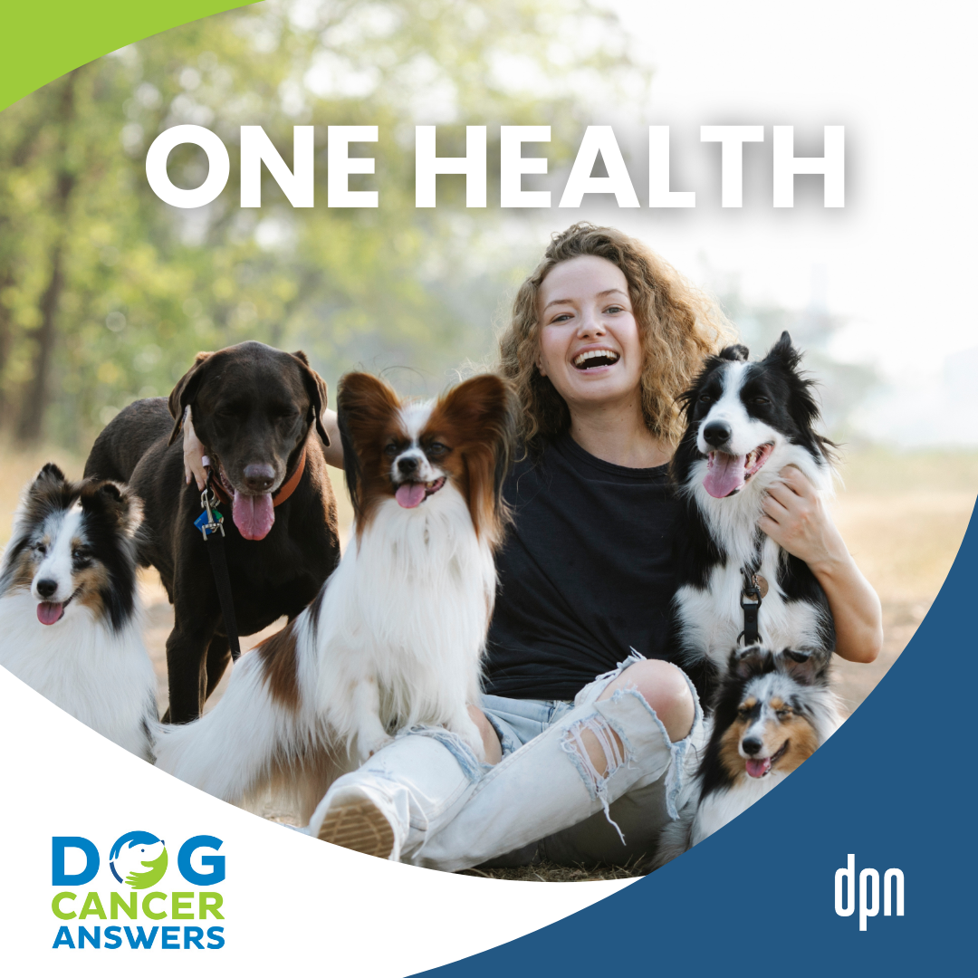 The Future of Healthcare: We’re All Animals in the One Health Revolution! | Dr. Jennifer MacLeay #294