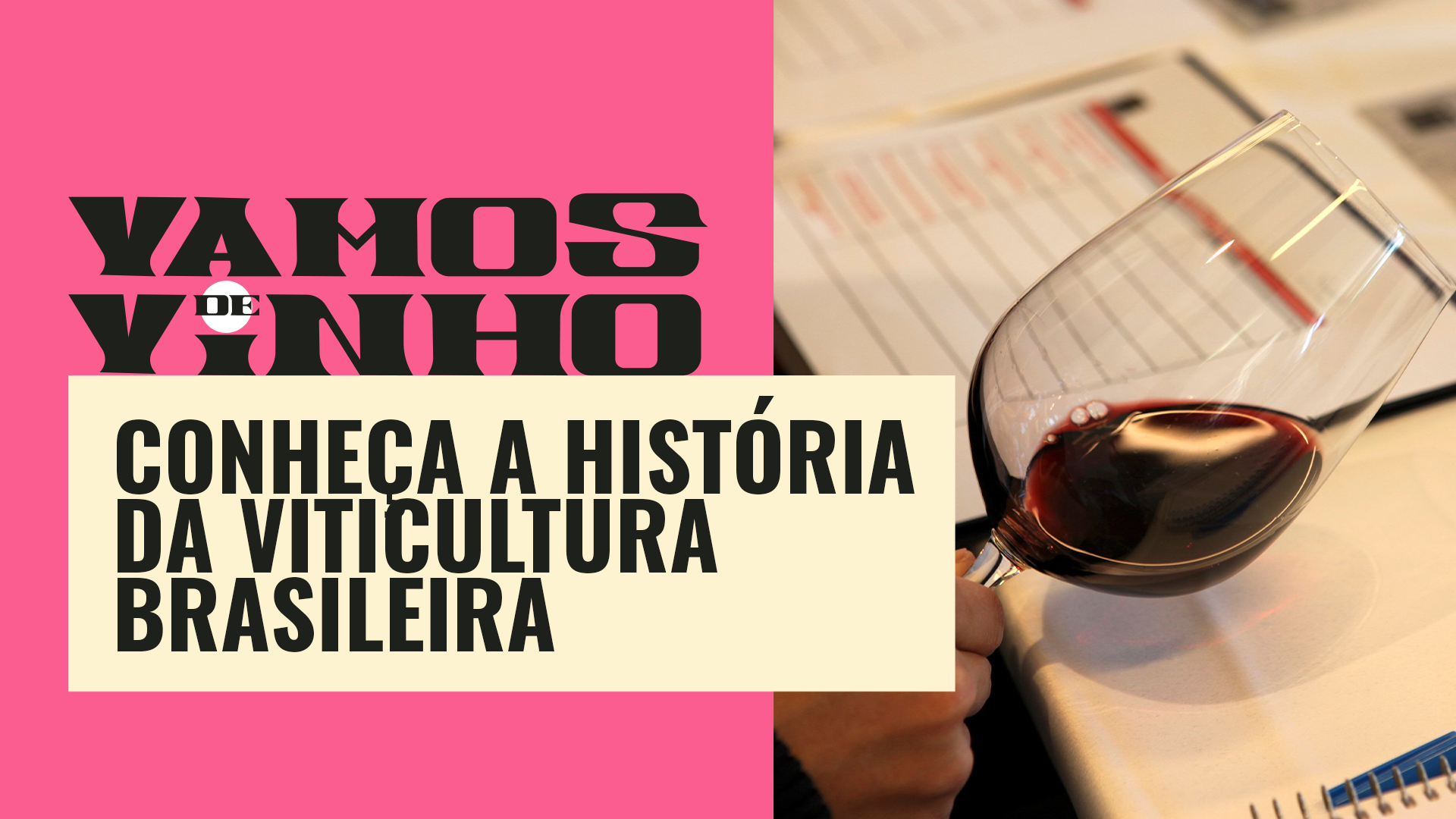 Da viticultura nacional à literatura de vinhos no Brasil com Tufi Neder Meyer | Vamos de Vinho
