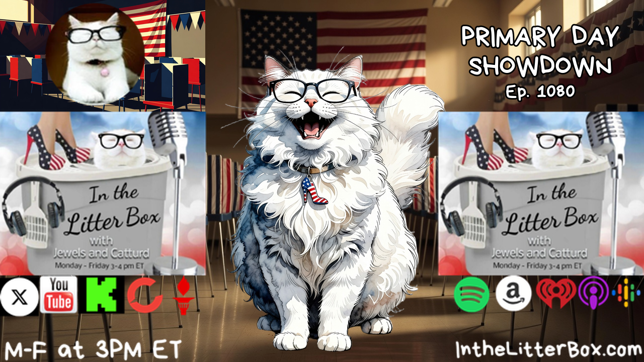 PRIMARY DAY SHOWDOWN | In the Litter Box w/ Jewels & Catturd – Ep. 1080 – 8/18/2026