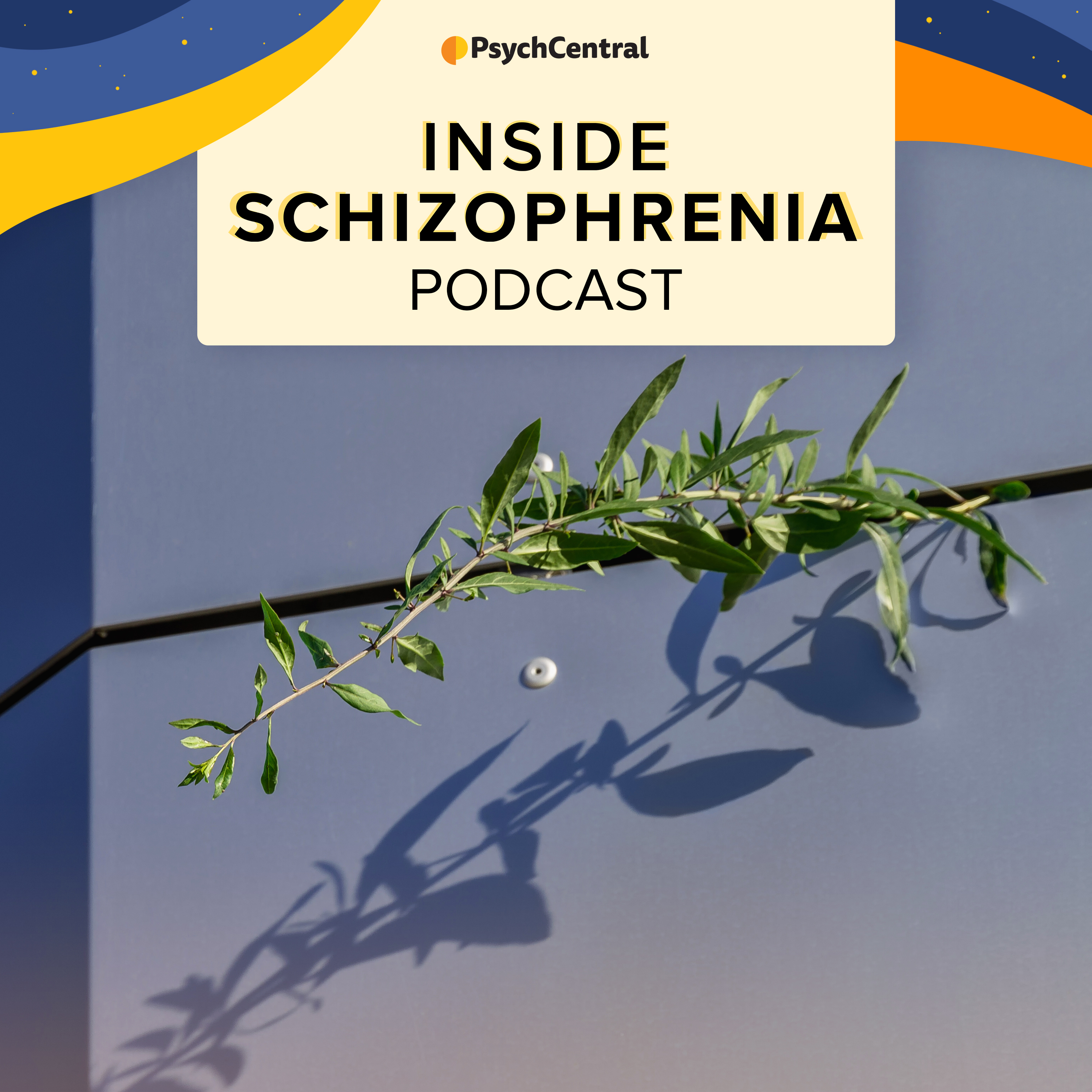 Inside Schizophrenia