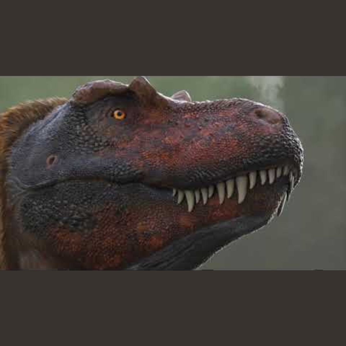 Tyrannosaurus Rex - Ancient Animal episode artwork